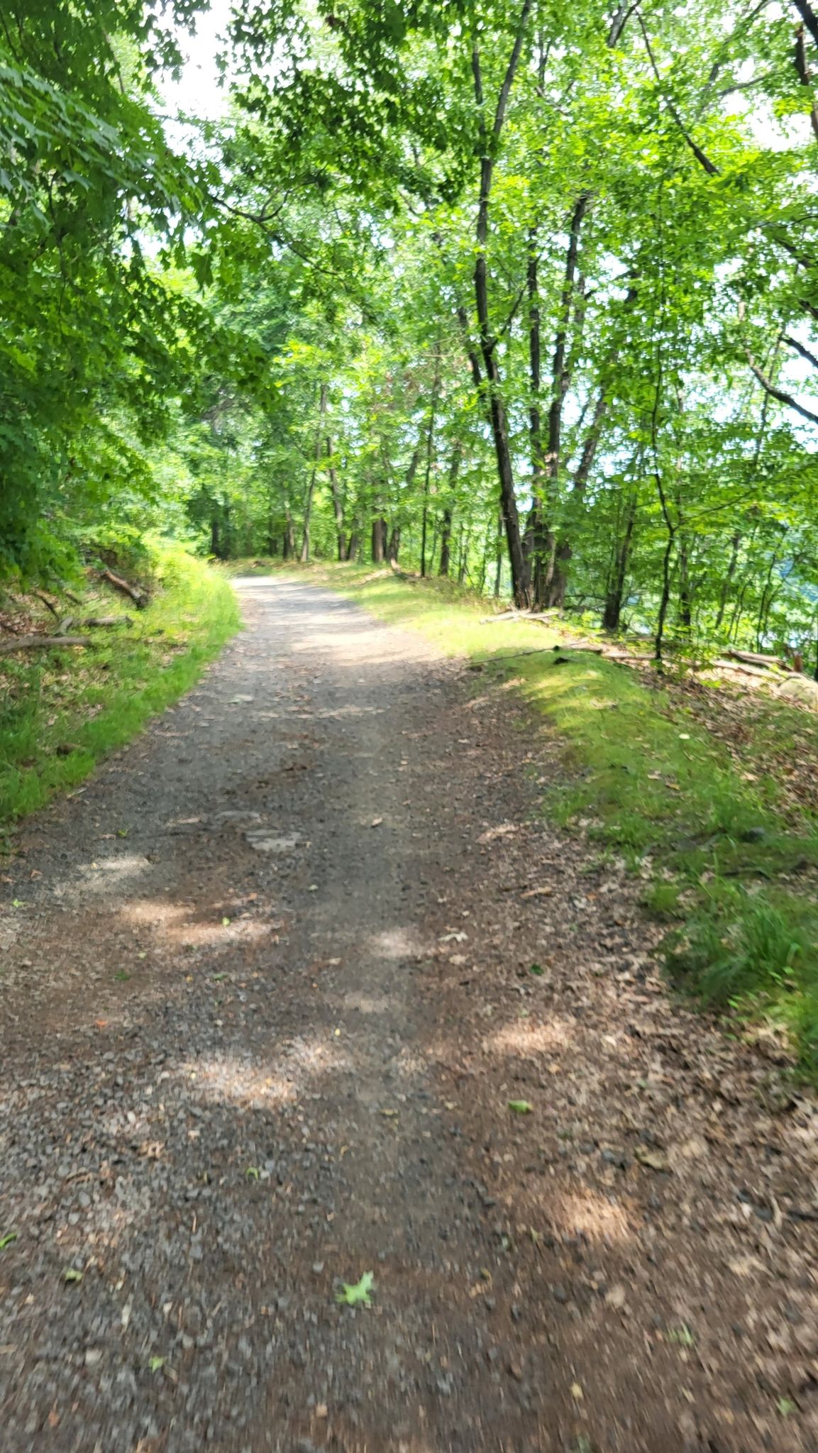 Shaded gravel path winding through a dense green forest on a bright day. - Piermont Railway Station (historic) – Joseph B. Clarke Rail Trail loop from Tallman Mountain State Park