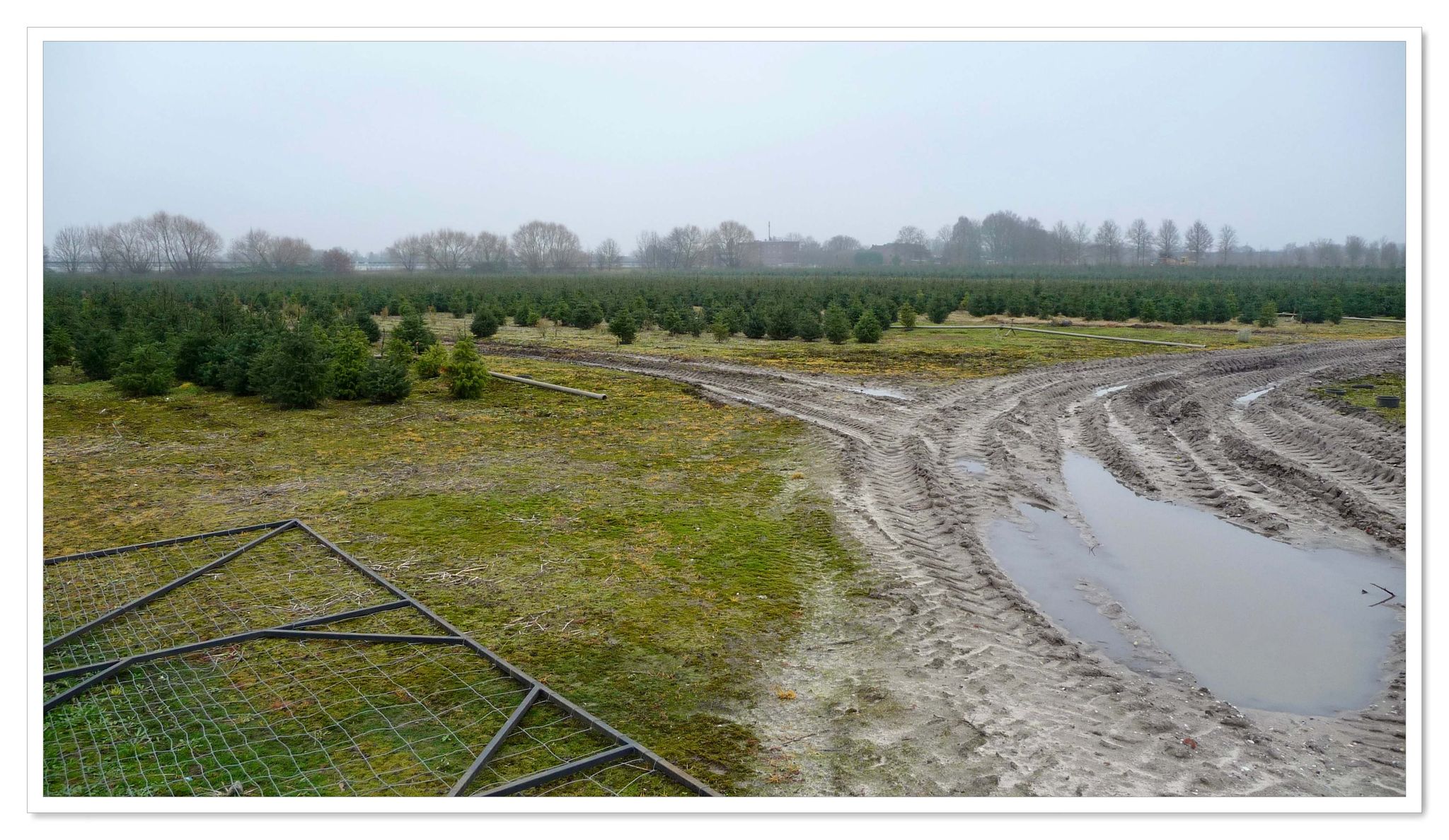 Wylreweg