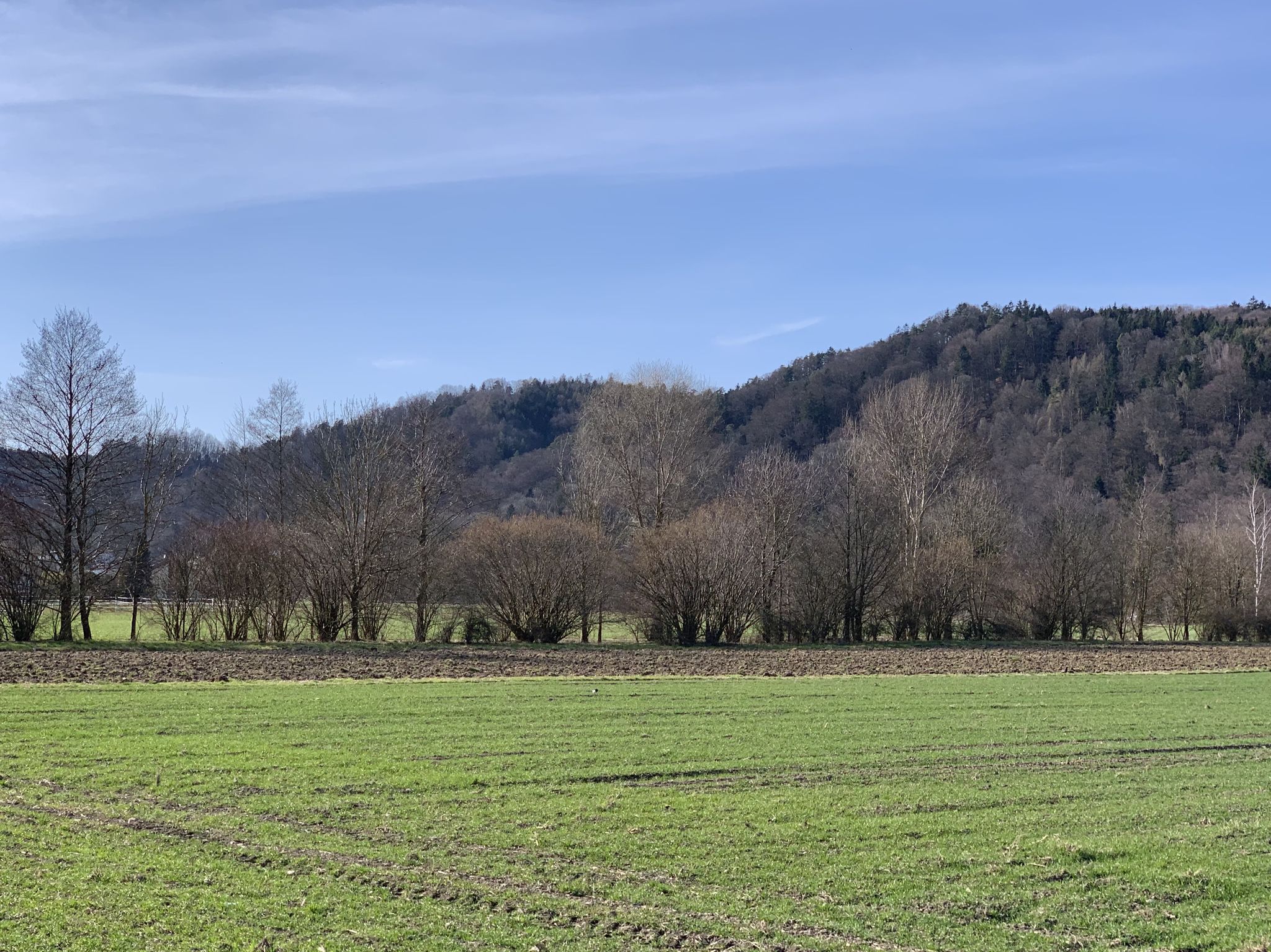 Nördlich der flachen Innebene beginnt das Hügelland.