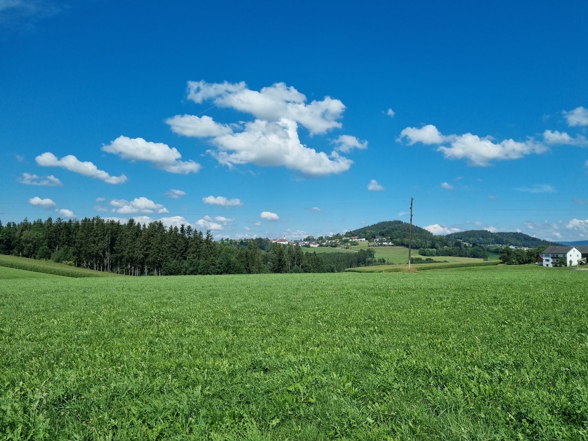 Sanfte Hügel