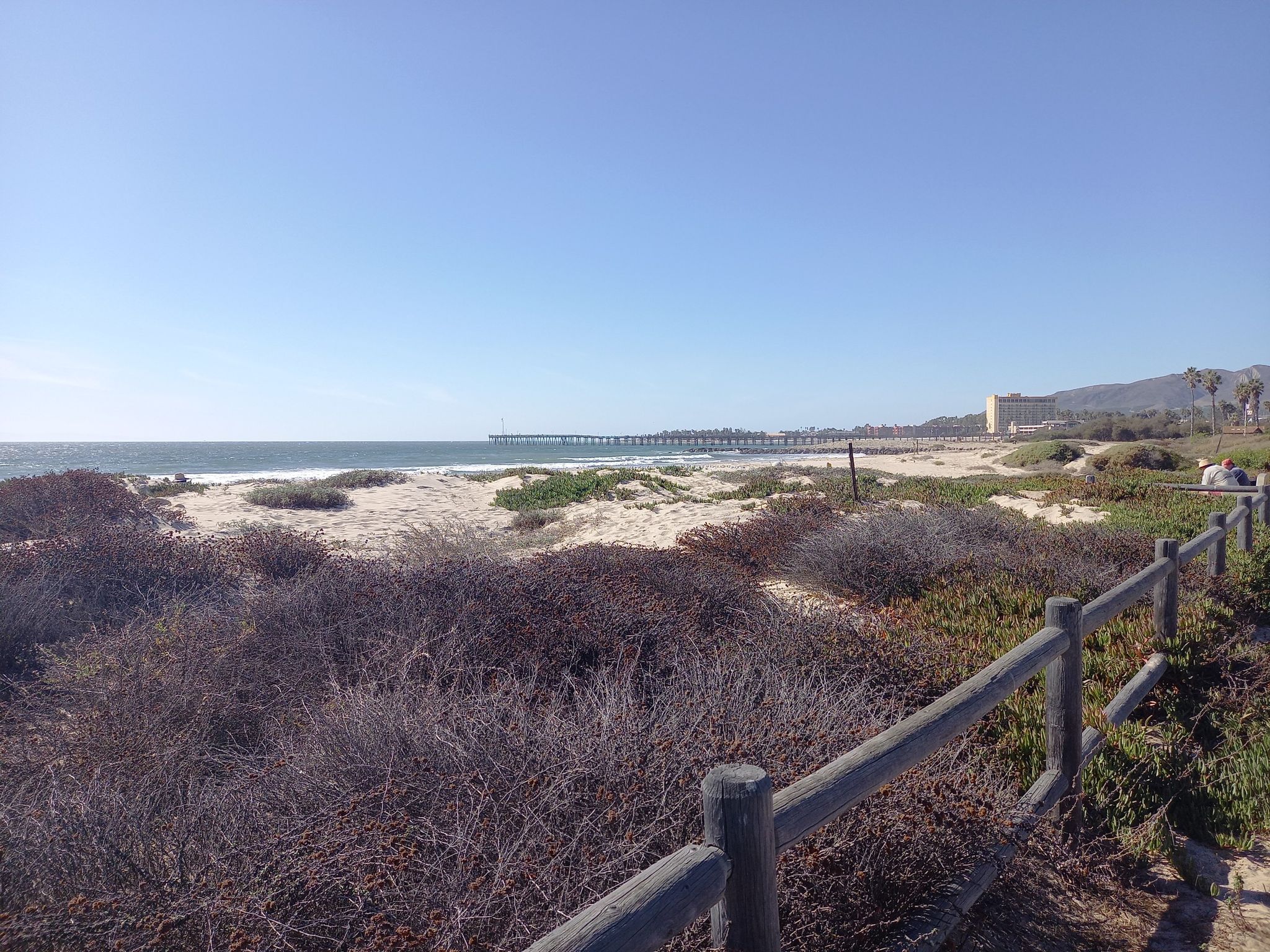 Coastal scrubland overlooks a sandy beach, ocean, and a long pier under clear skies. - San Buenaventura State Beach – Ventura Pier loop from Pacific View Mall