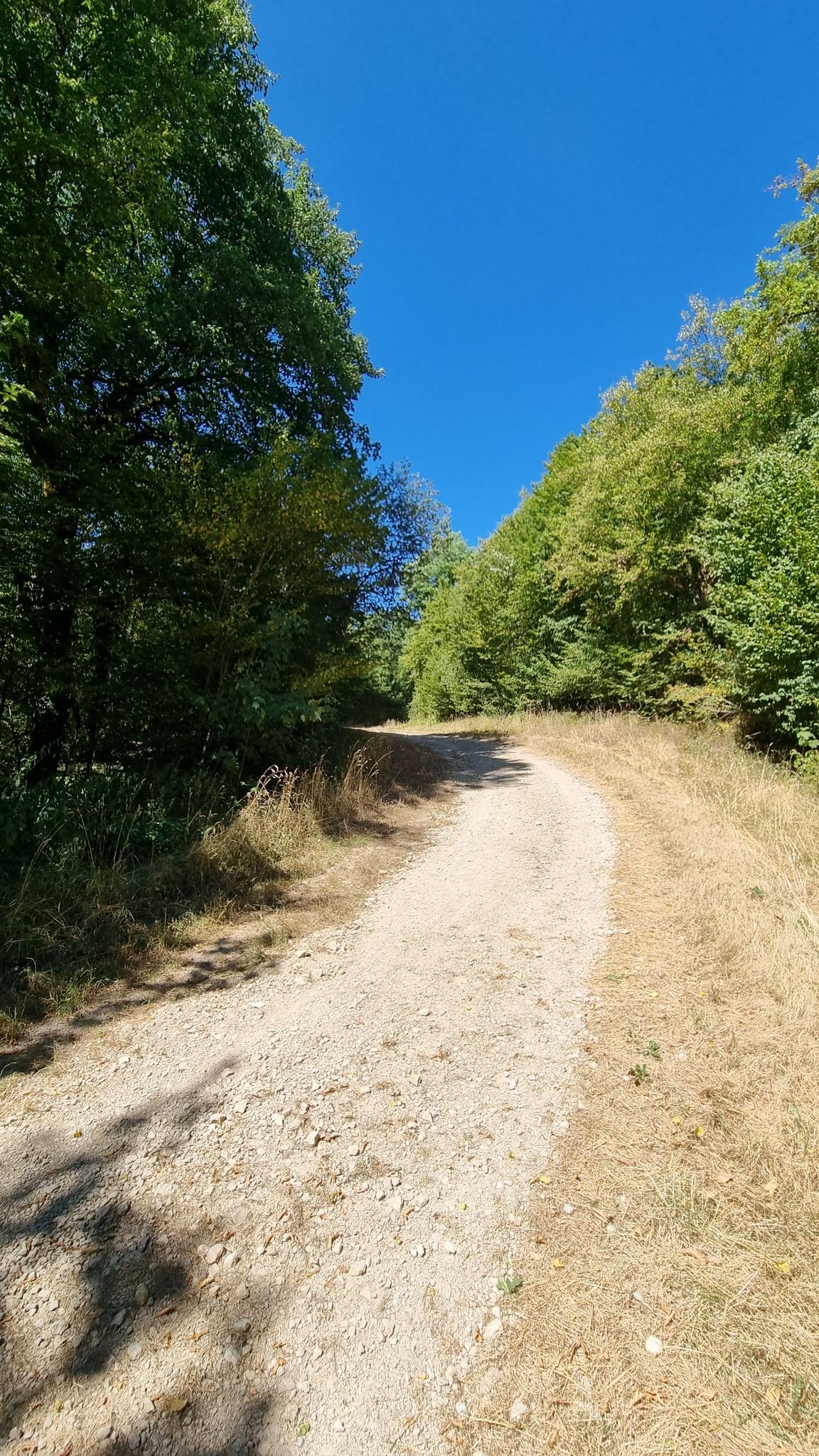 Chemin de l'aire d'autoroute Gastronomie