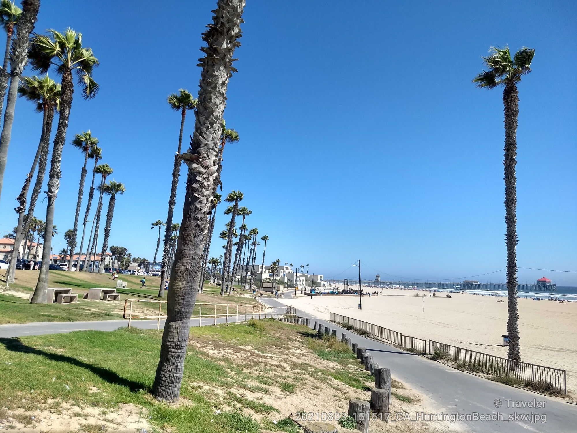 Sunny coastal scene with palm trees, a paved path, and a wide sandy beach. - San Gabriel River Trail – Huntington State Beach loop from Millikan High School