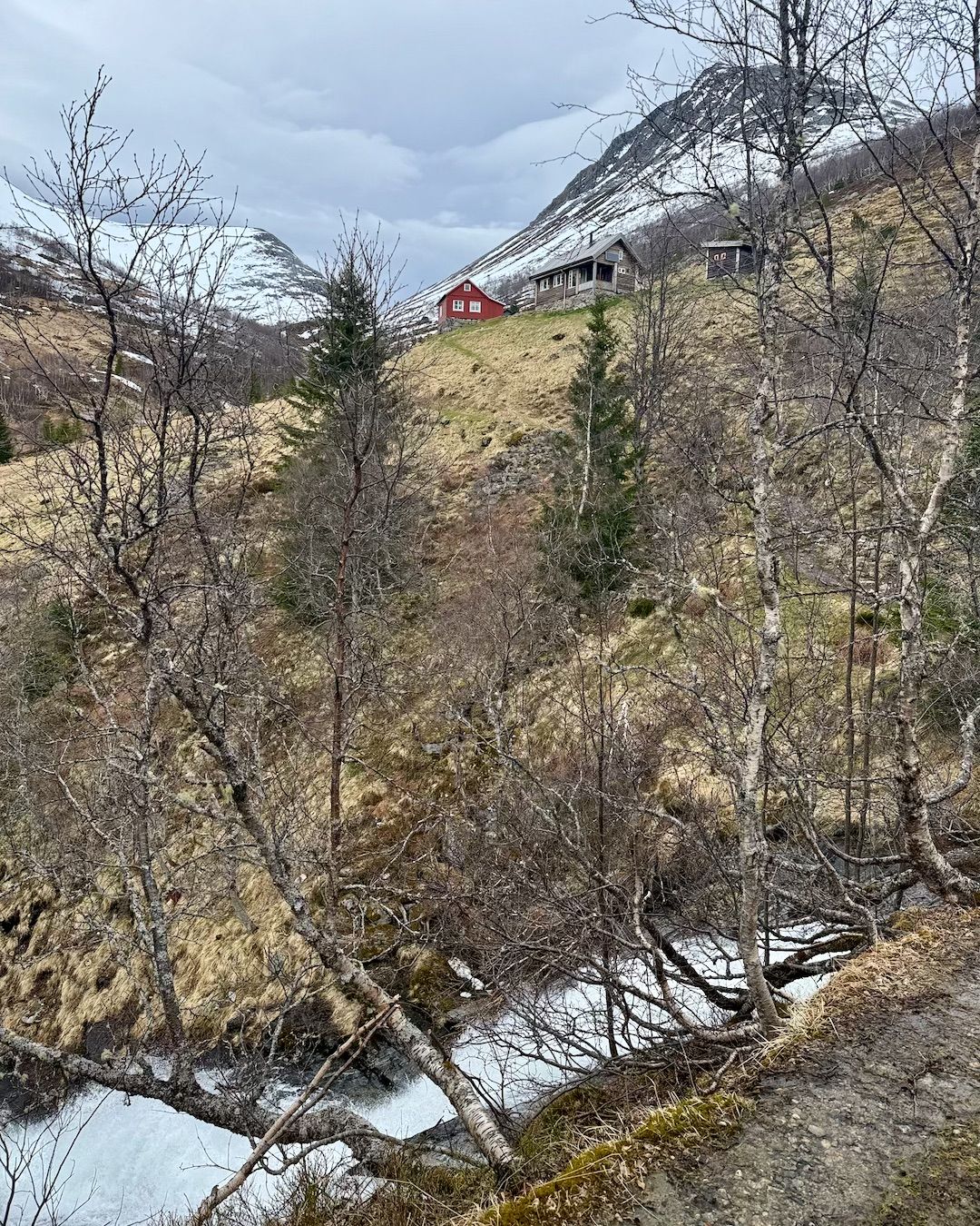 Die Alm Loftskarsetra