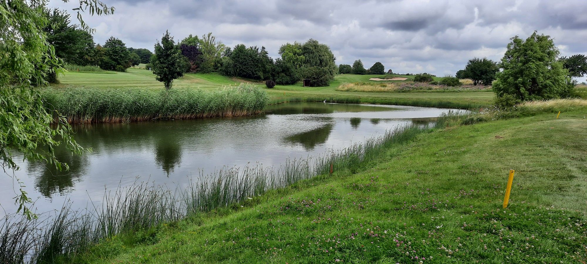 Schöner Teich am Golfplatz ⛳
