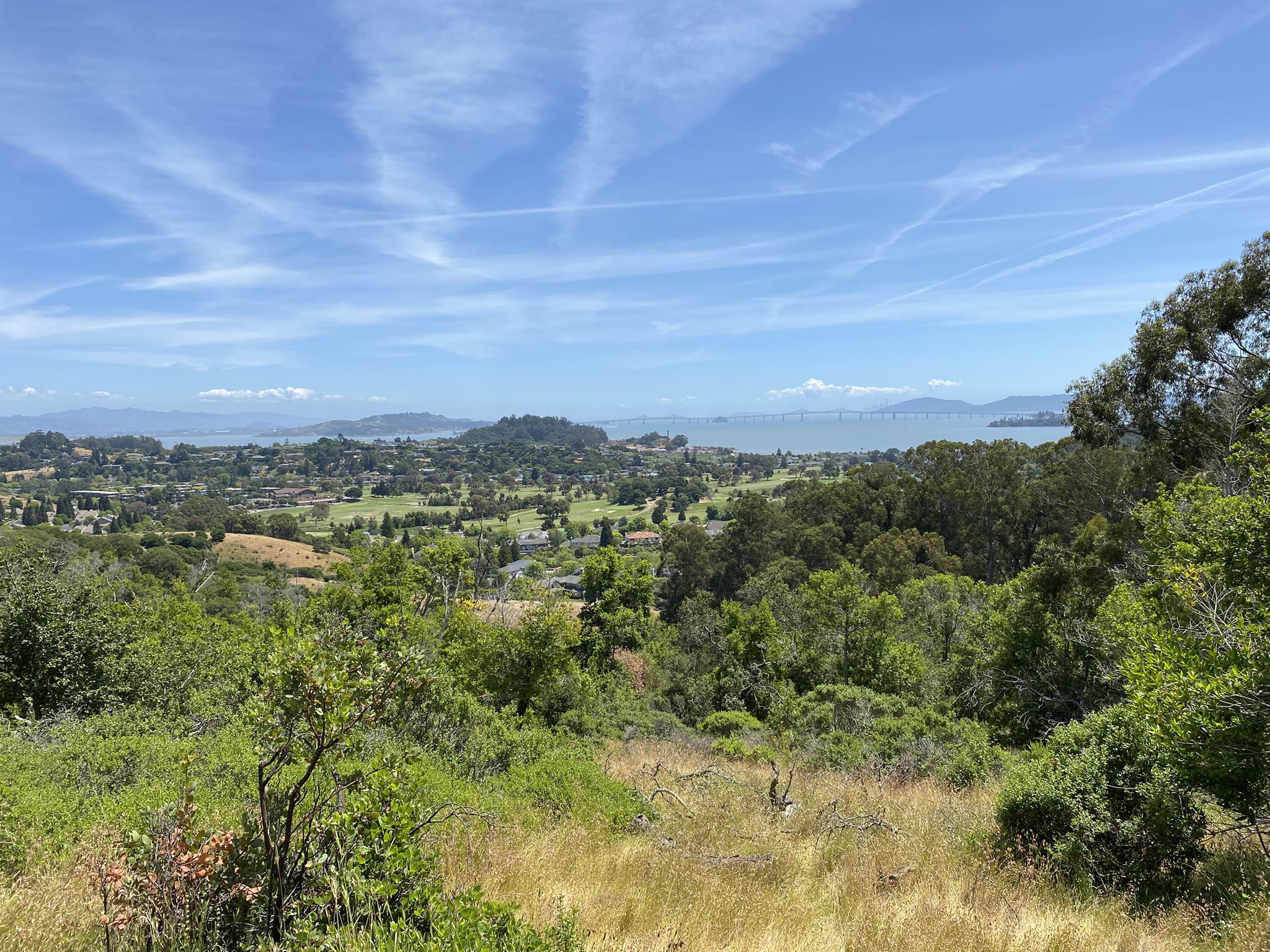Sunny panoramic view of a bay, town, and hills from a green hillside. - China Camp State Park loop from The Sisters