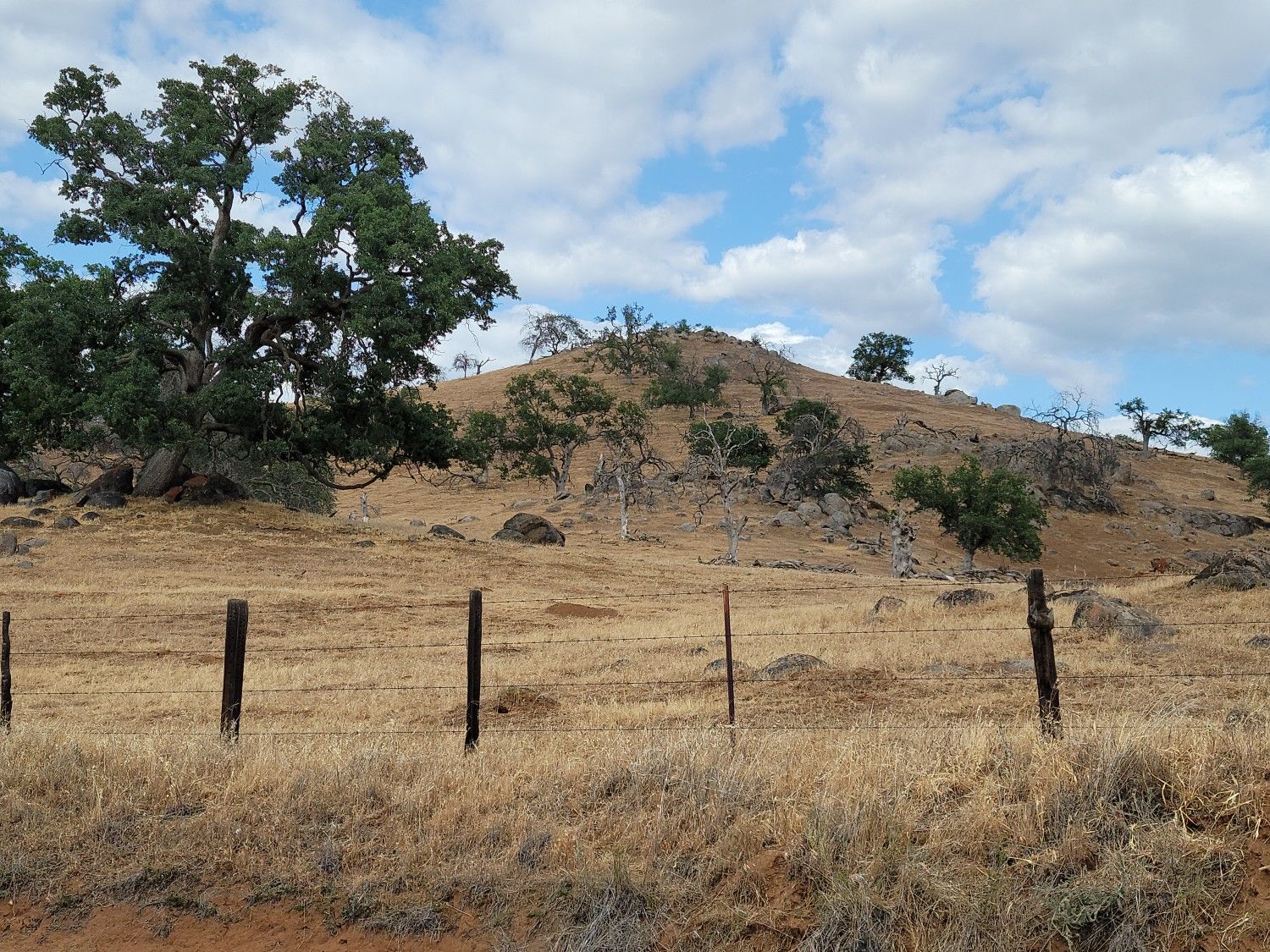 Dry grassy field, fence, rocky hill with trees under a partly cloudy sky. - Fresno to Pine Flat Lake