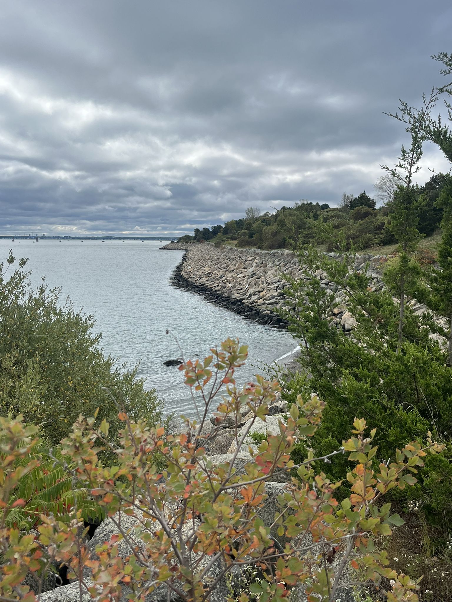 Overcast sky above a calm bay with a rocky shoreline and green foliage. - Spectacle Island Outer Loop