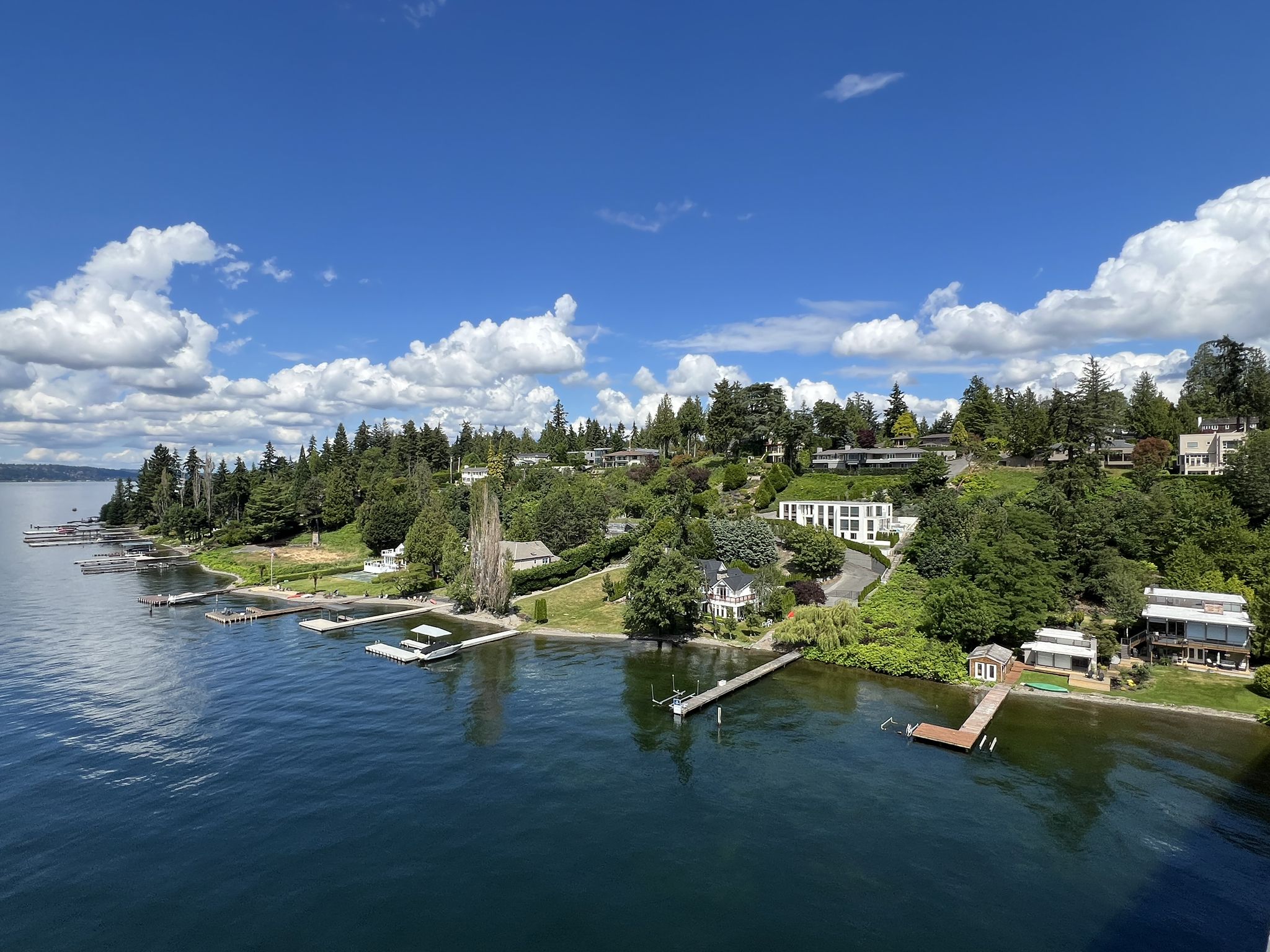 Treed shoreline with houses and docks along a lake on a sunny day. - North loop from Gasworks Park