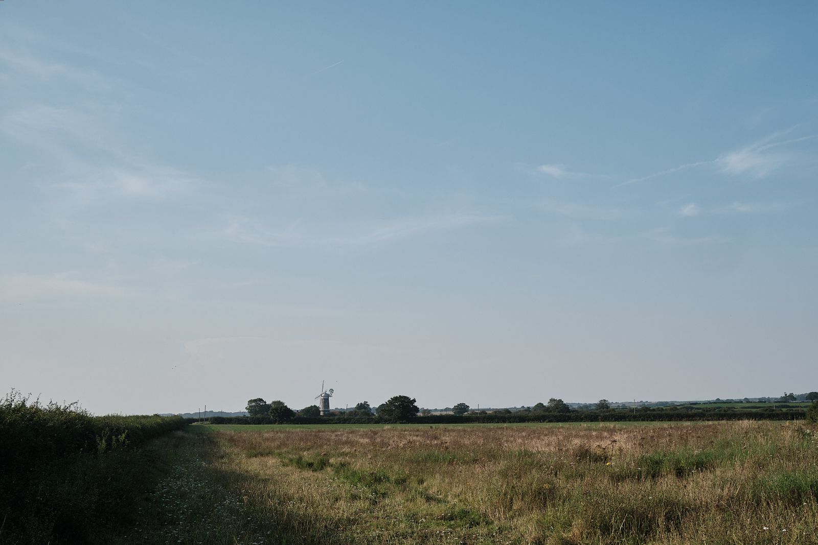 Gravel path (not in picture) leading to Bircham Windmill