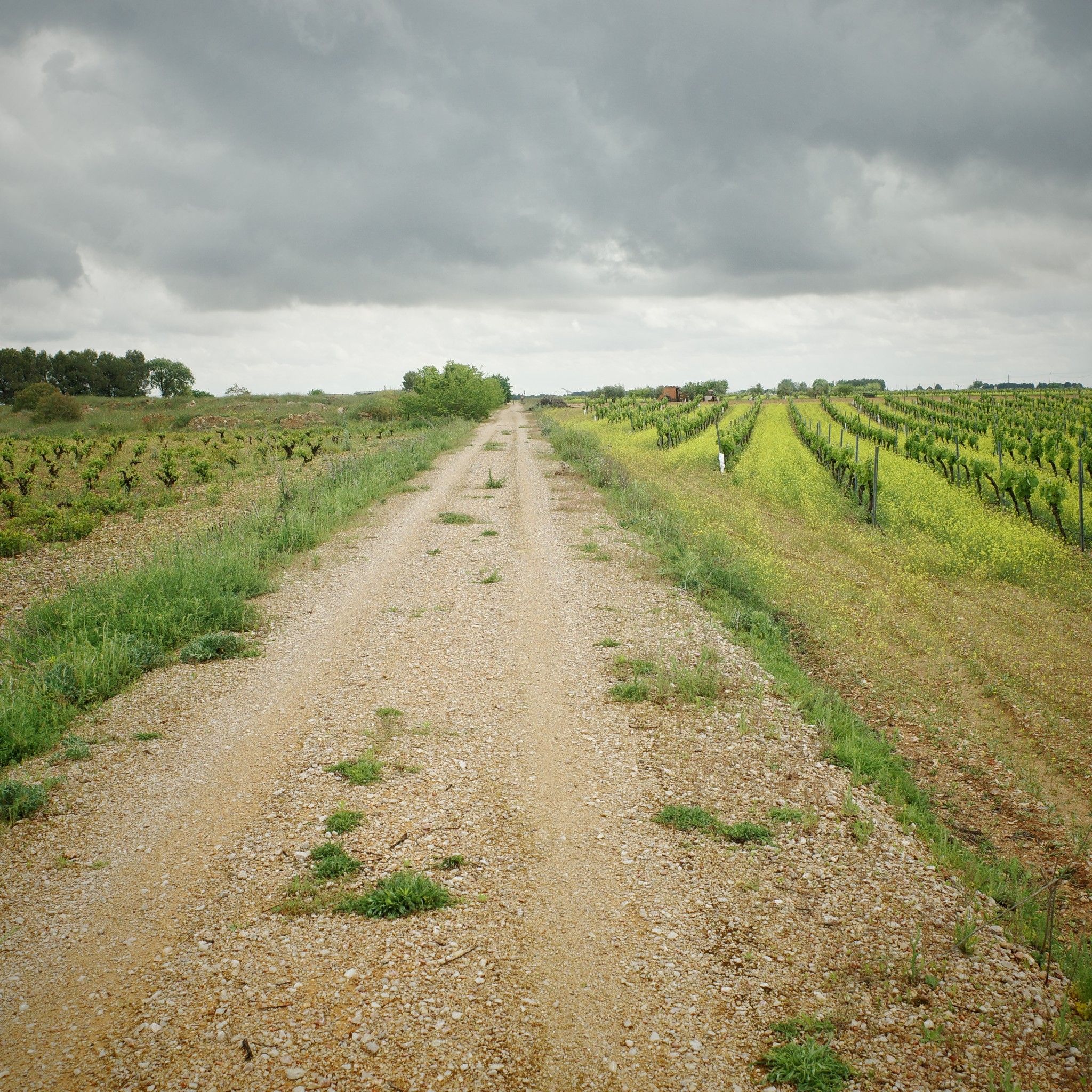via verde après Villacañas