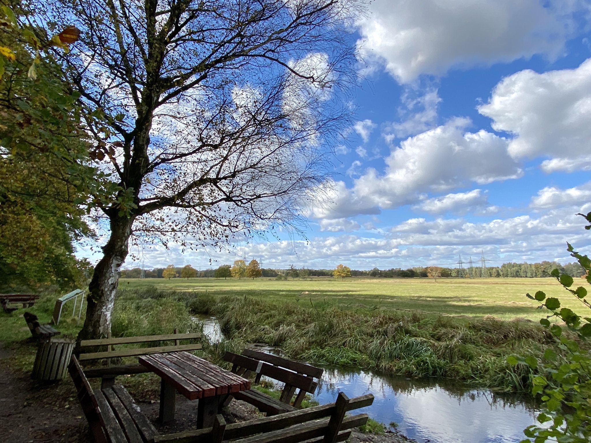 Tolle Aussicht auf die Mönchbruchwiesen.