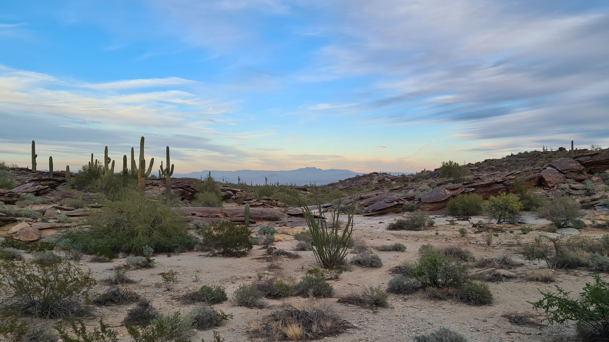 Desert landscape with saguaro cacti, rocky hills, and distant mountains under cloudy sky. - National Trail to Mormon Loop