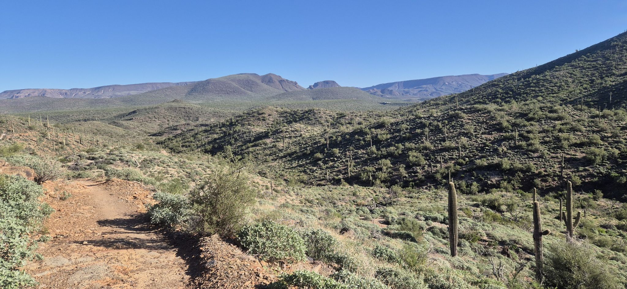 Dirt trail winding through a desert valley with cacti and distant mountains. - Overton and Go John Loop Trail