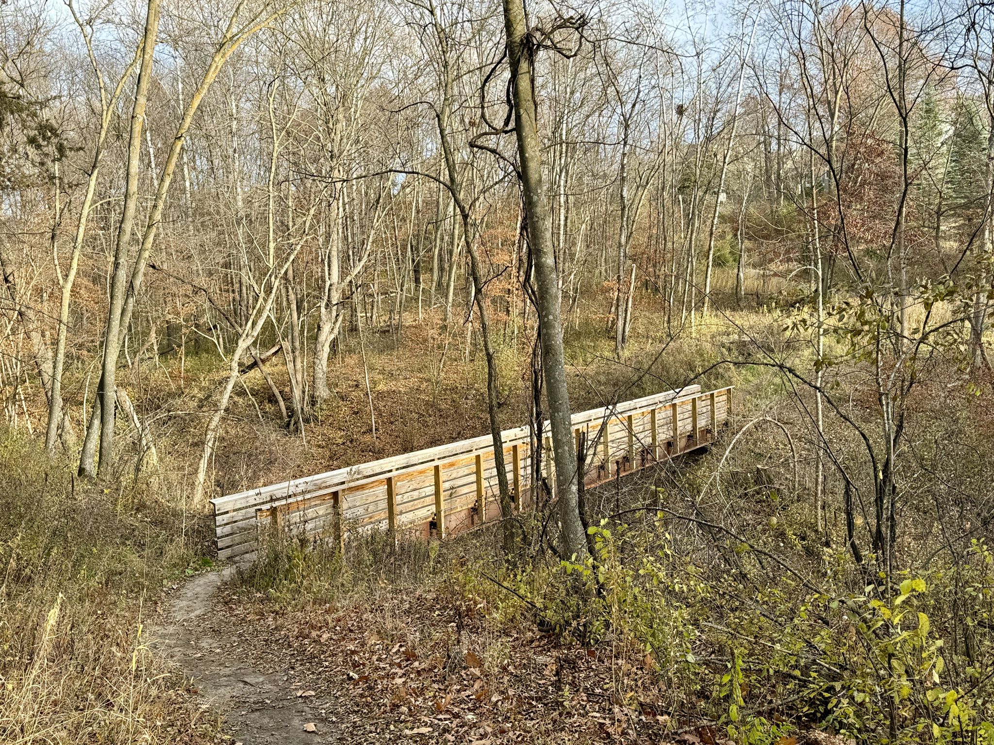 Wooden bridge over a dry creek bed in a bare winter forest. Bright daylight. - Riley Creek Trail