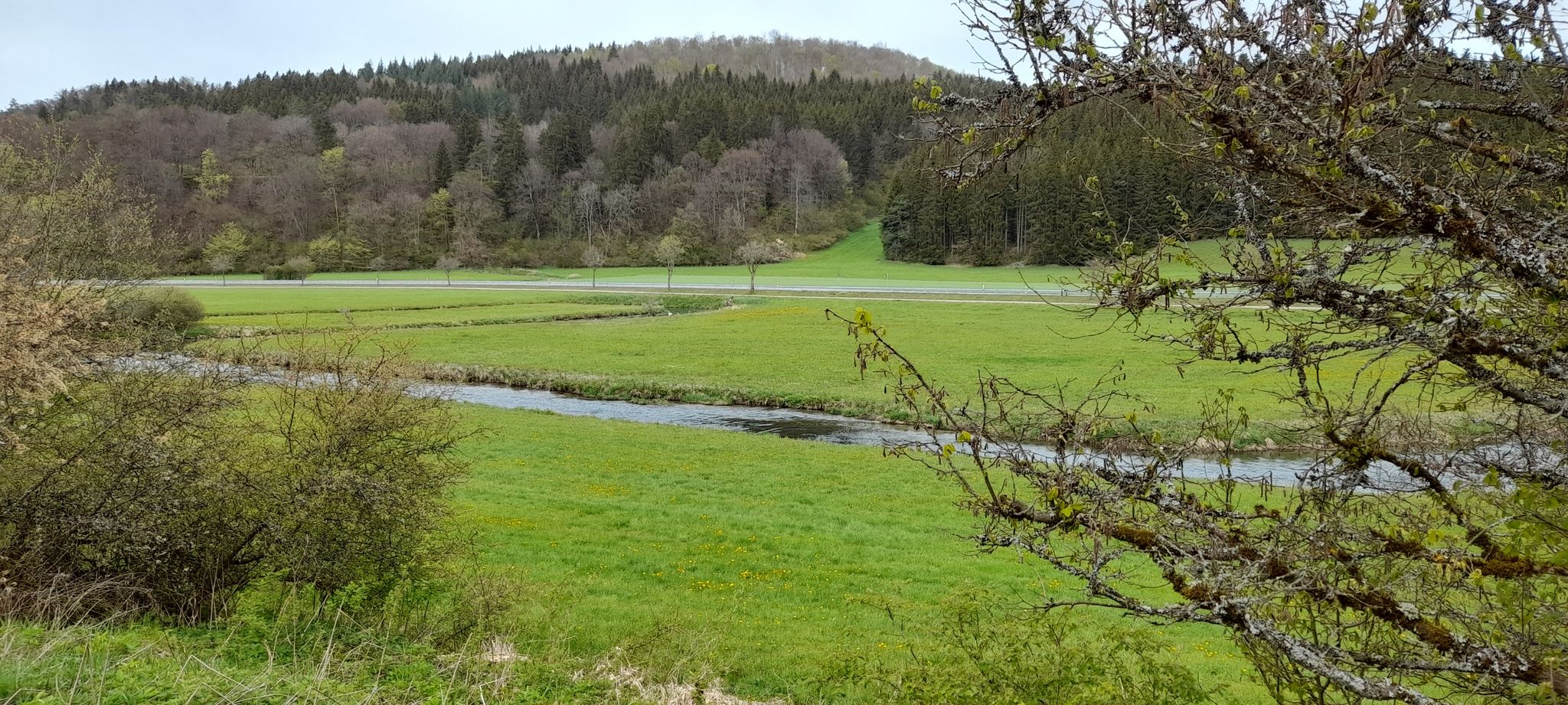 Blick auf die Lauchert