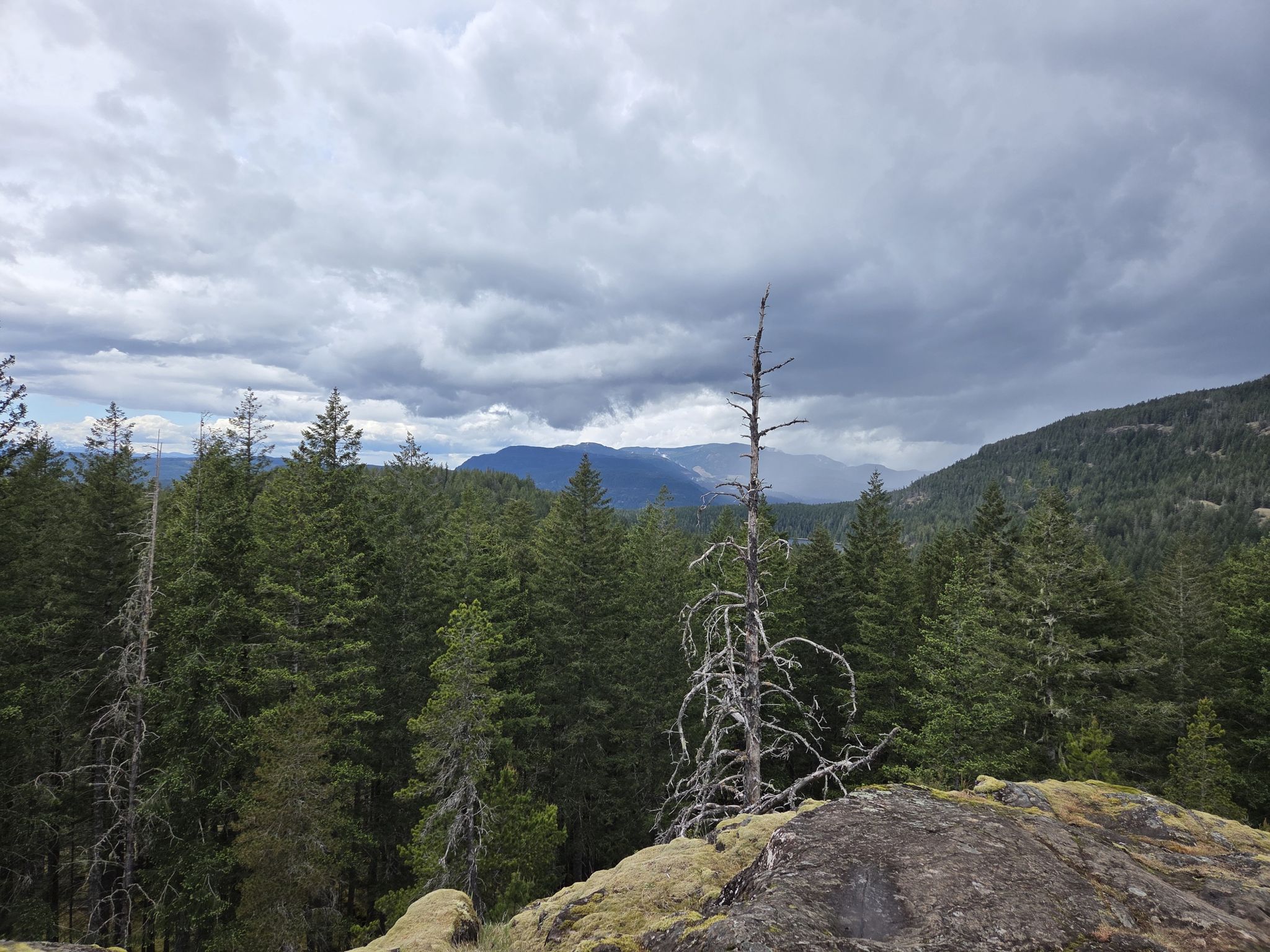 The Ridge