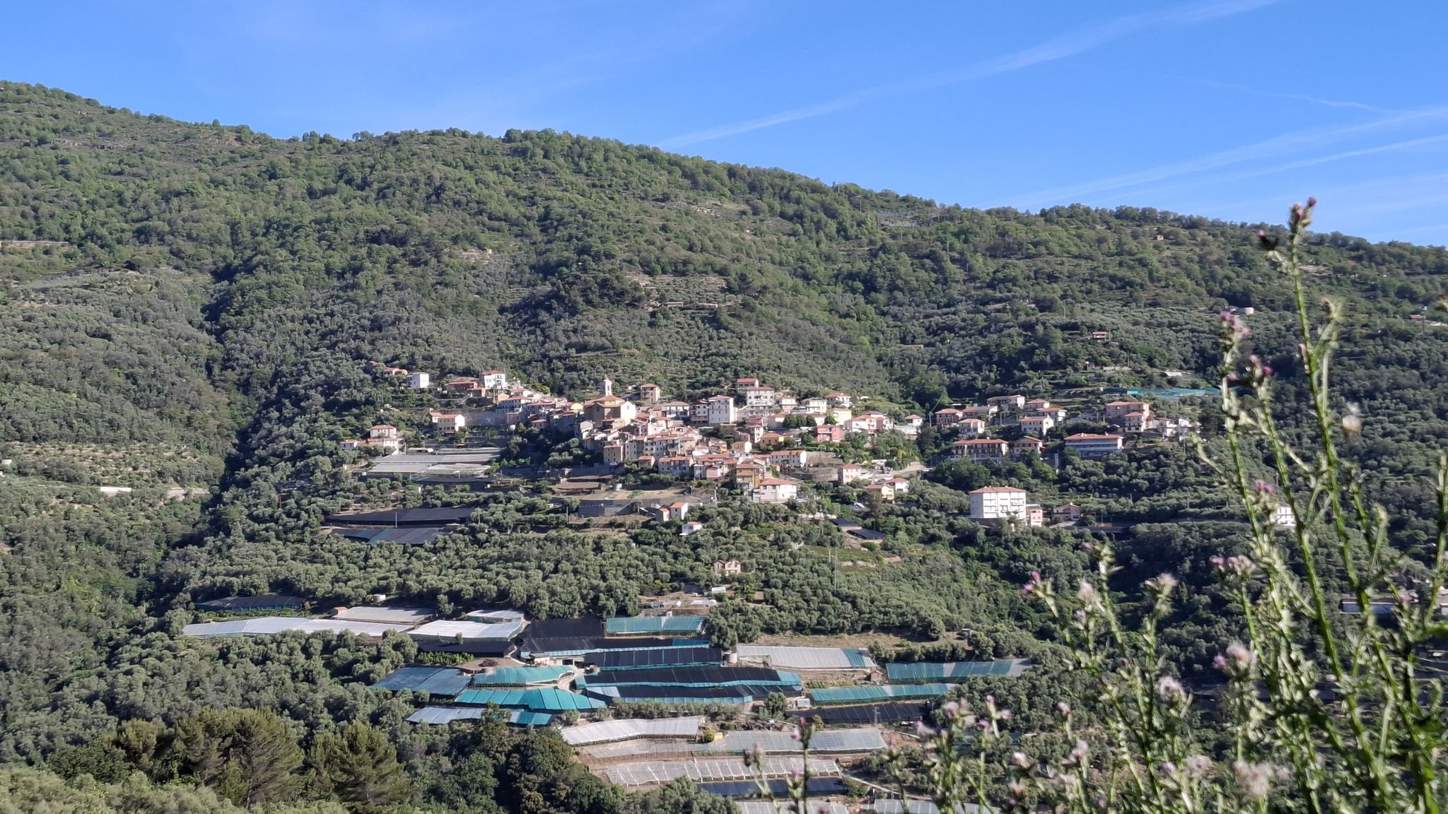 Pietrabruna