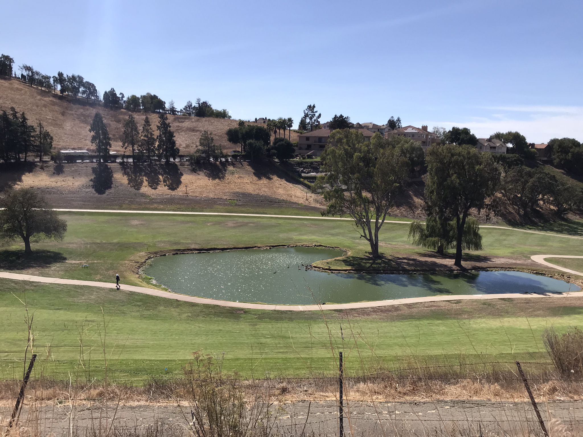 A person bikes on a path next to a pond on a sunny golf course. - Monument Peak Trail