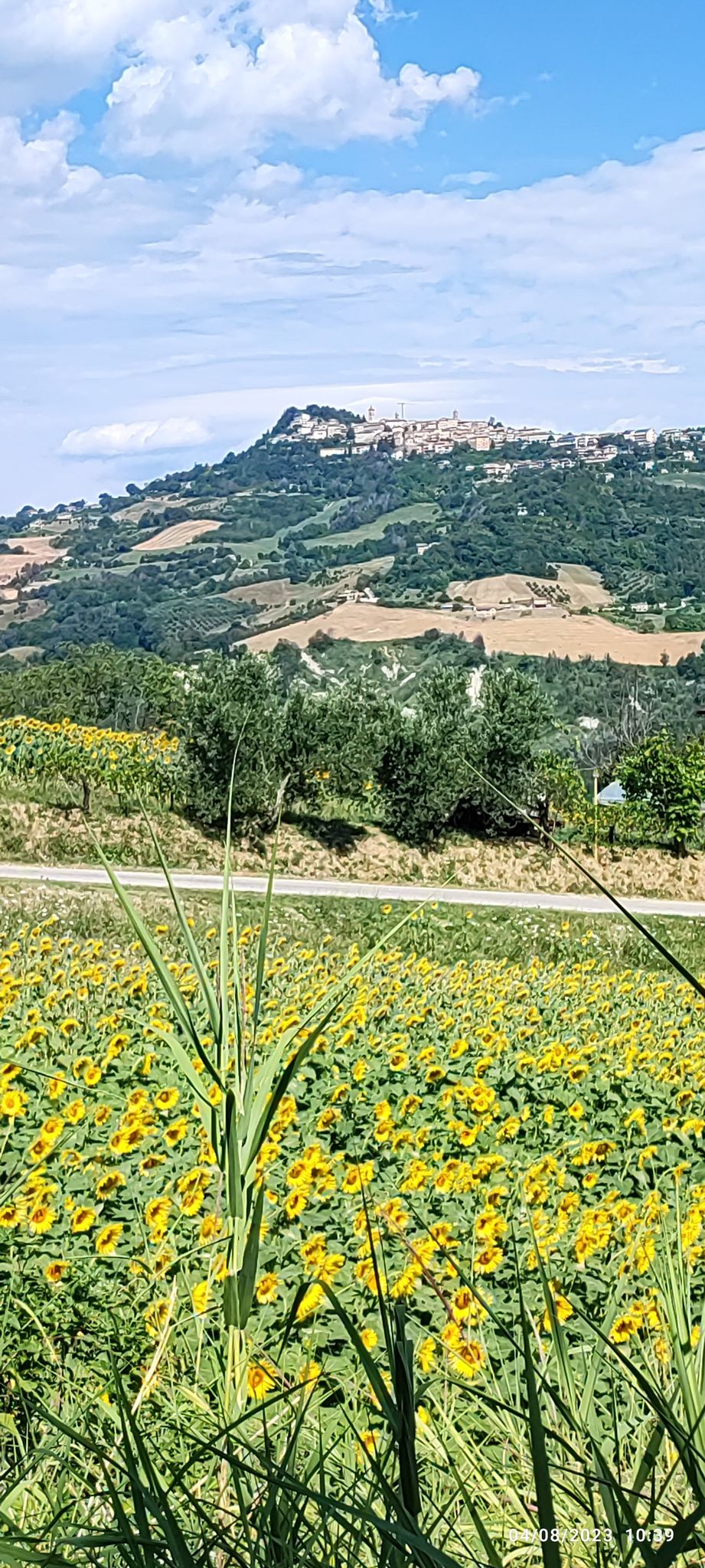Penna San Giovanni