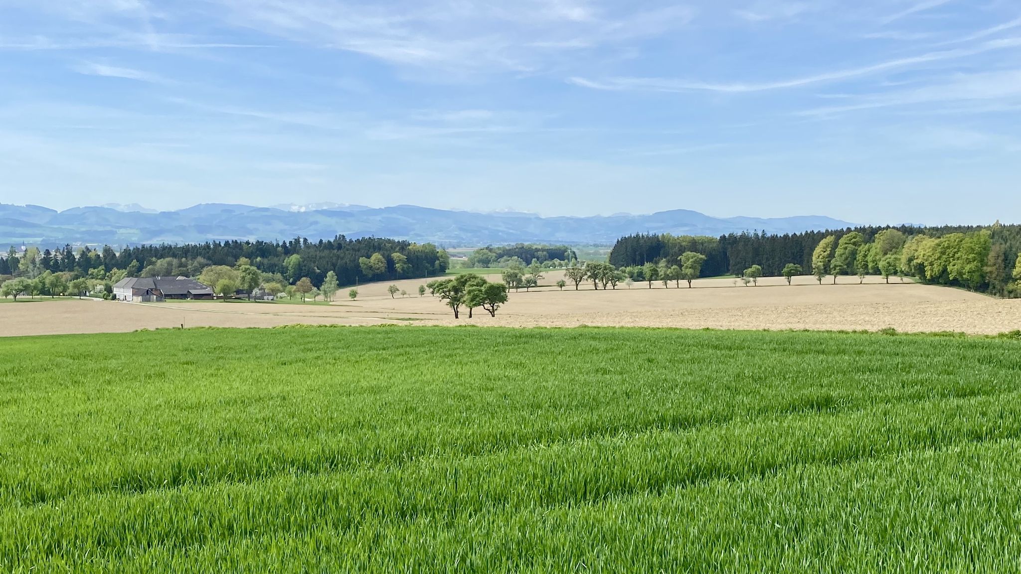 oberhalb Aschbach: Südwesten