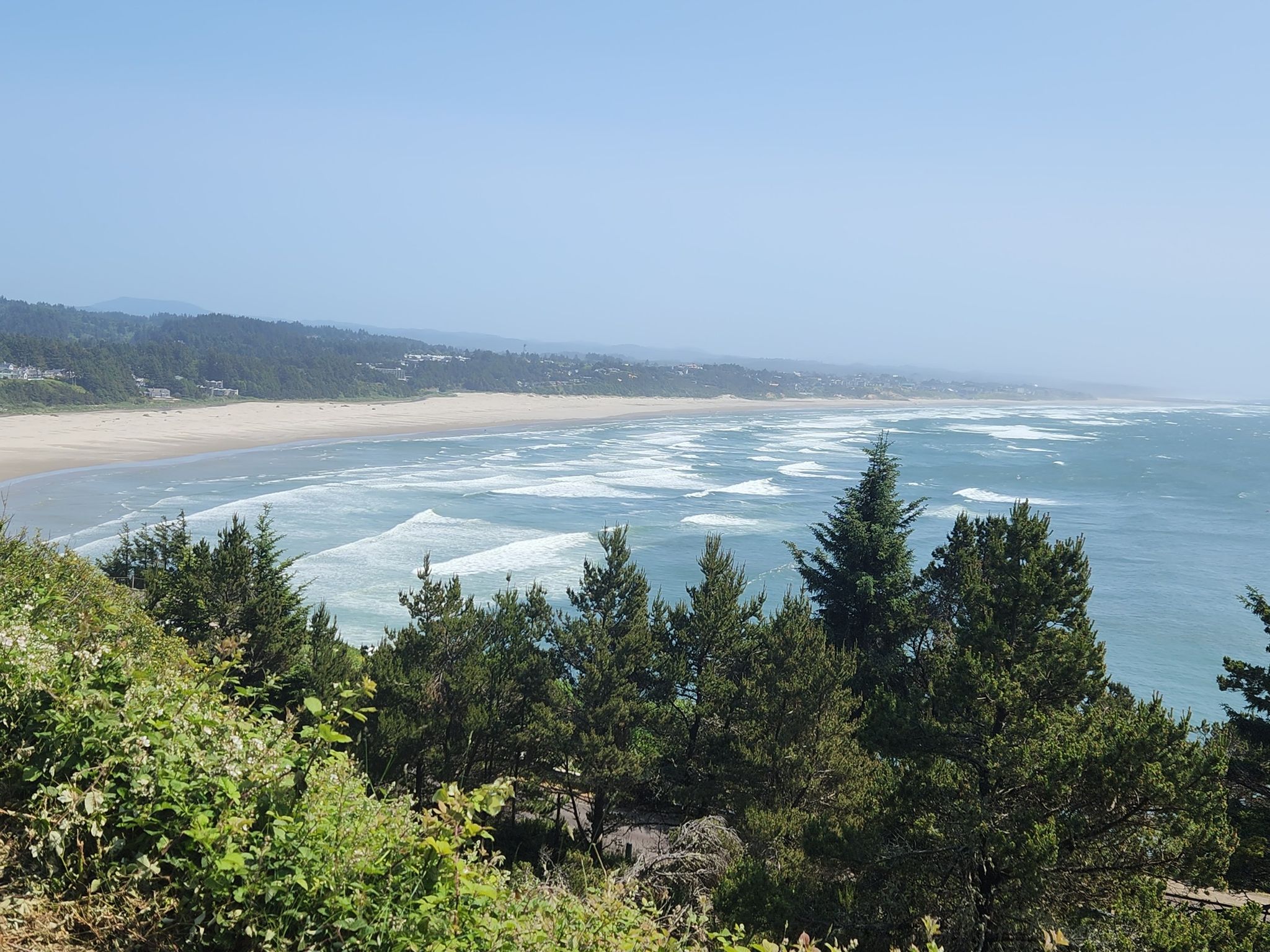 Panoramic view of a wide sandy beach with ocean waves, framed by green trees. - Oregon Coast Scenic Bikeway