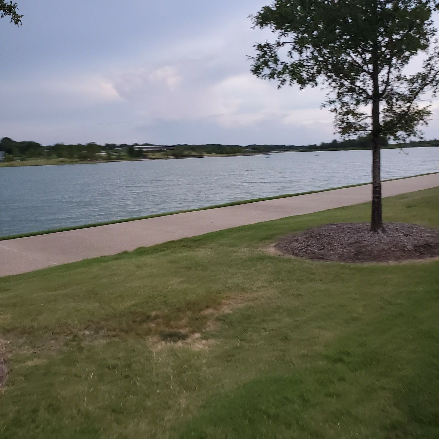 Calm lake, paved path, green grass, and tree under an overcast sky. - Shelby Farms to Herb Parsons Lake loop