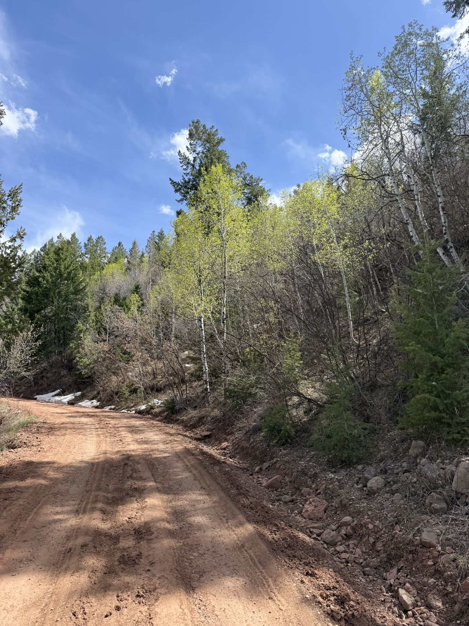 A dirt road winds uphill through a sunlit forest with patches of snow. - Red Hill Trailhead – Jeanne Golay Trail loop from West Glenwood Mall
