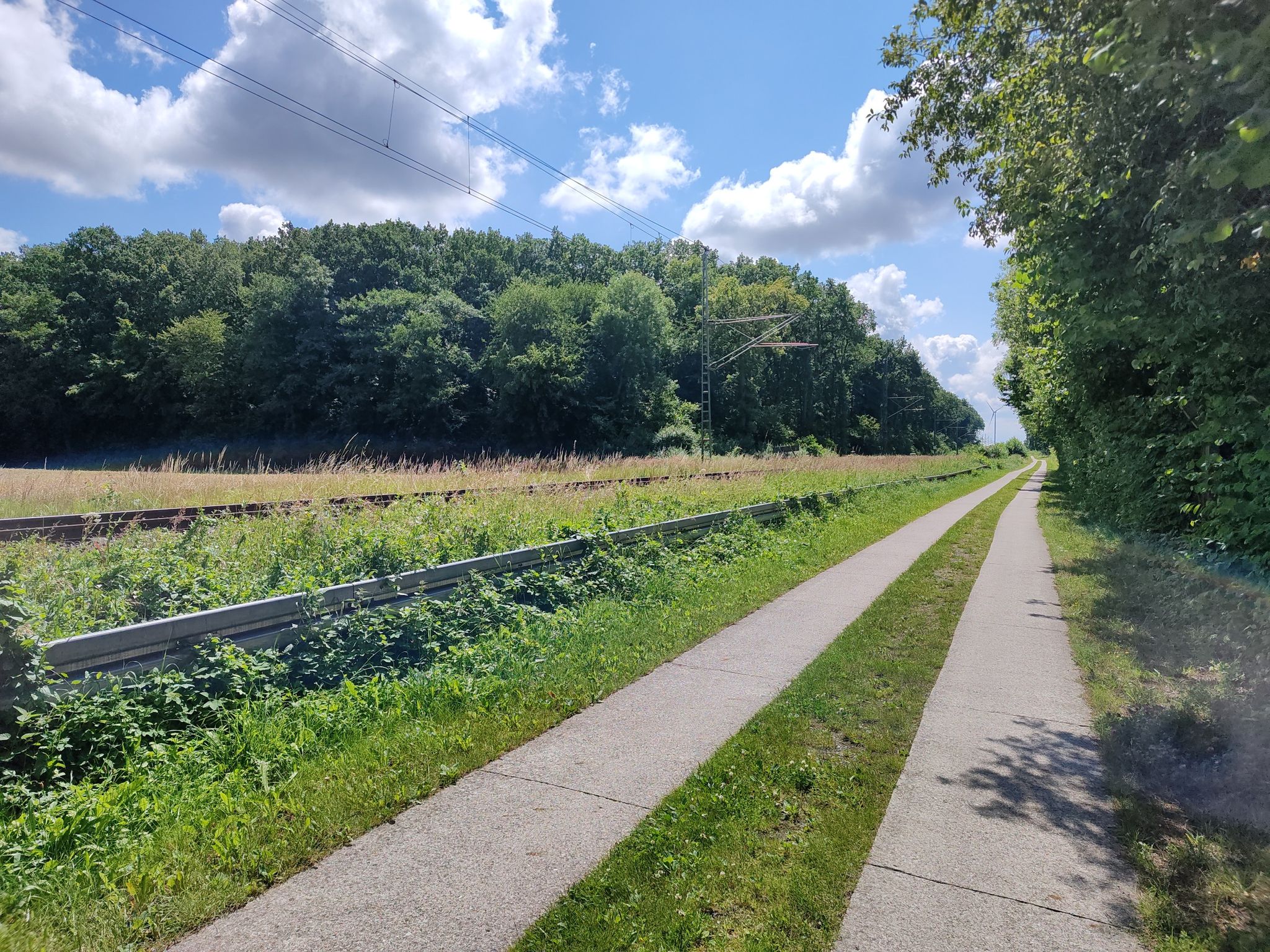 Weg an den Schienen hinter Wittenhagen....