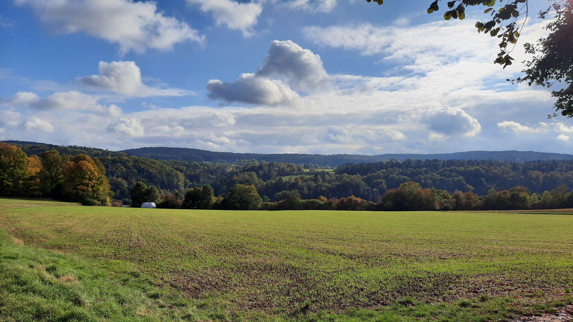Panoramaweg