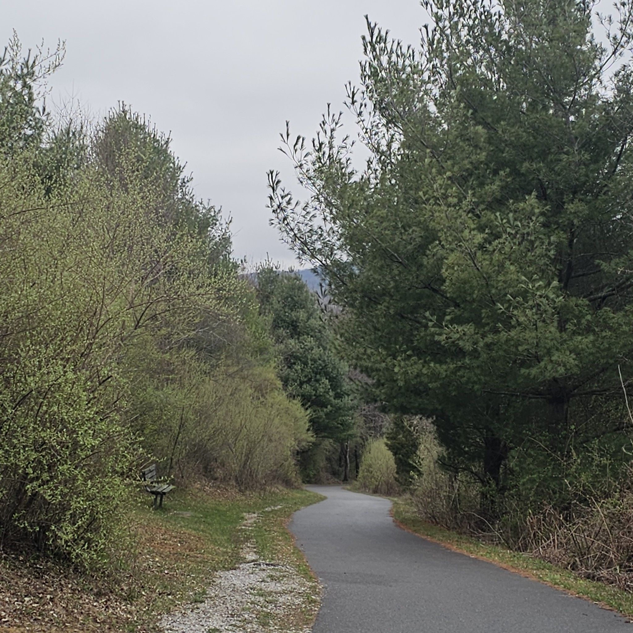 Paved path winding through dense green and bare trees, cloudy day. - Old Farmhouse loop from Blacksburg