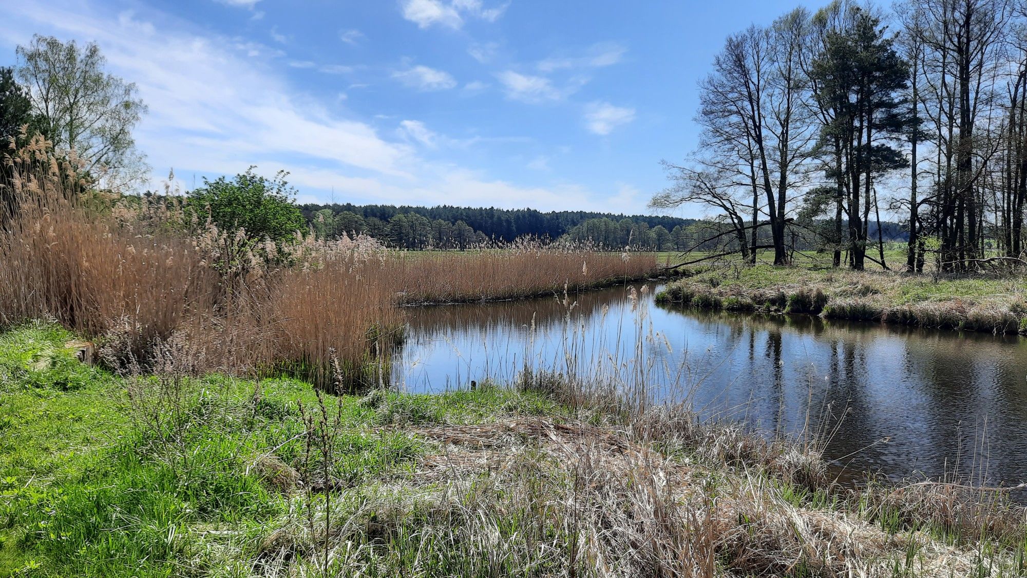 Forst Pankow 5