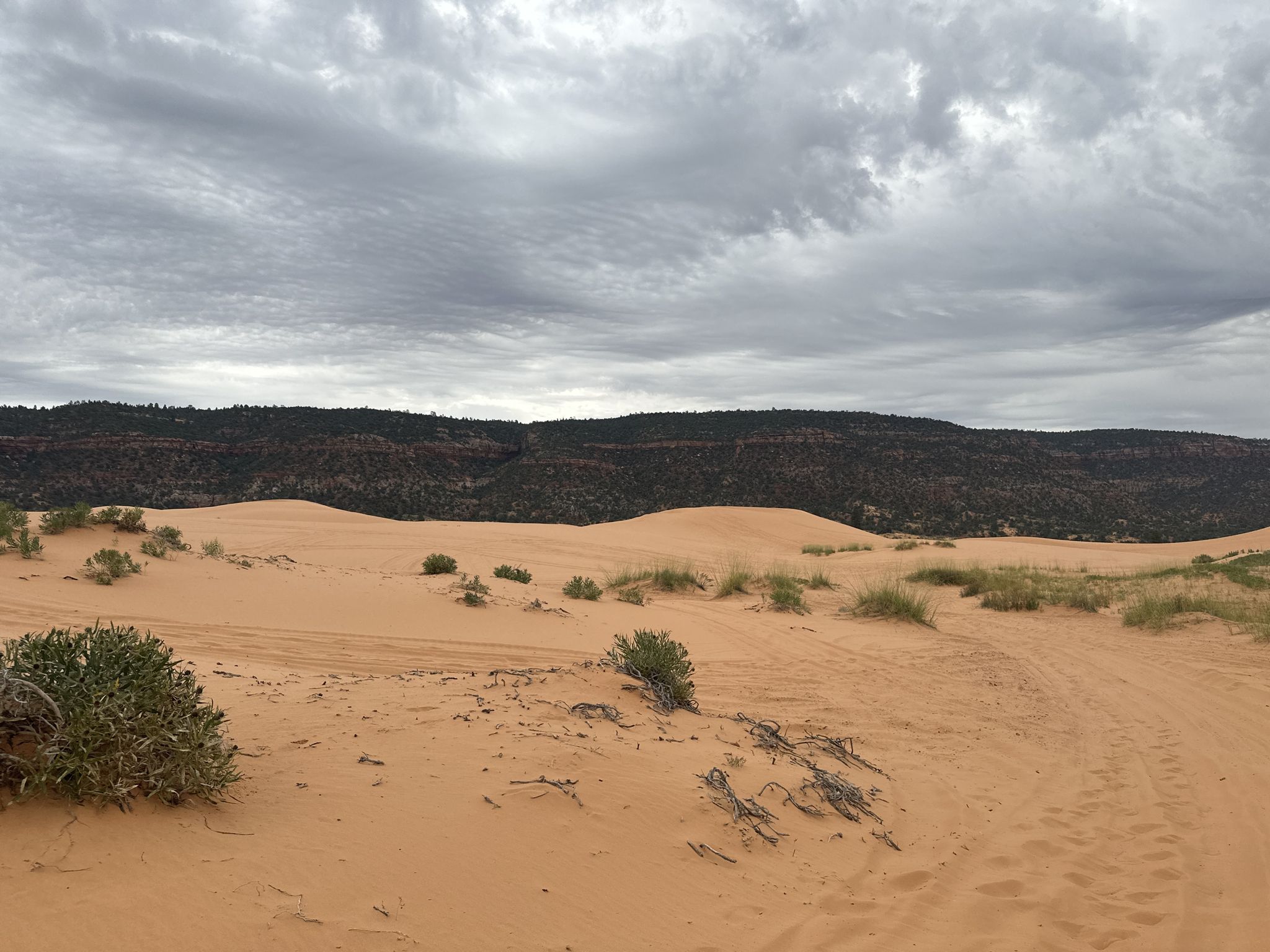 Wide view of orange sand dunes and distant dark hills under a cloudy sky. - Dune Access Road