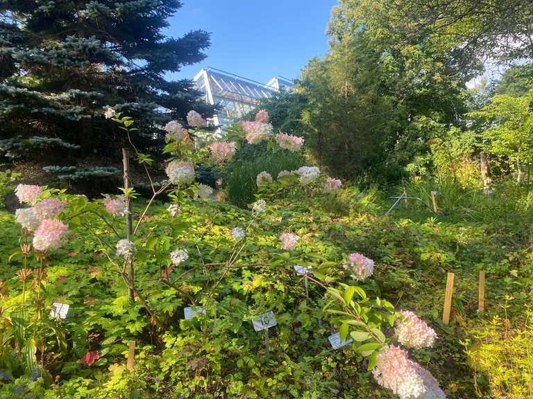 Minirunde durch den Botanischen Garten von Turku Wanderung Komoot