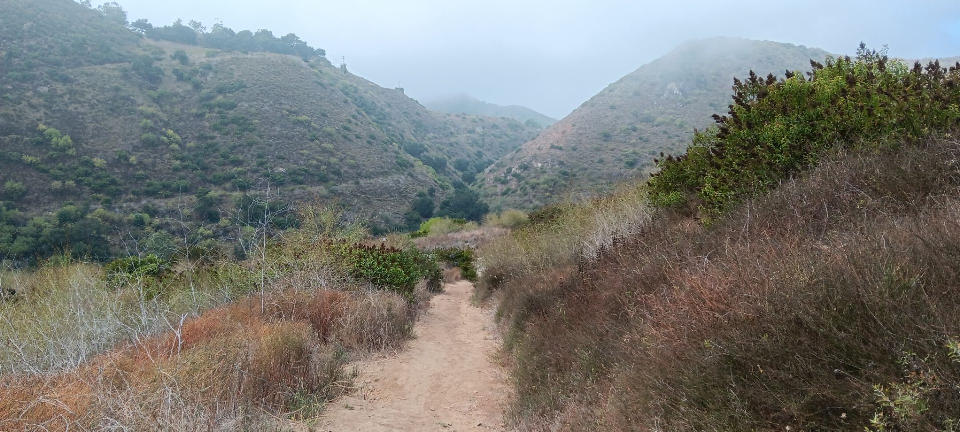 Dirt path through dry brush and misty hills under an overcast sky. - Solstice Canyon Loop – Santa Monica Mountains National Recreation Area