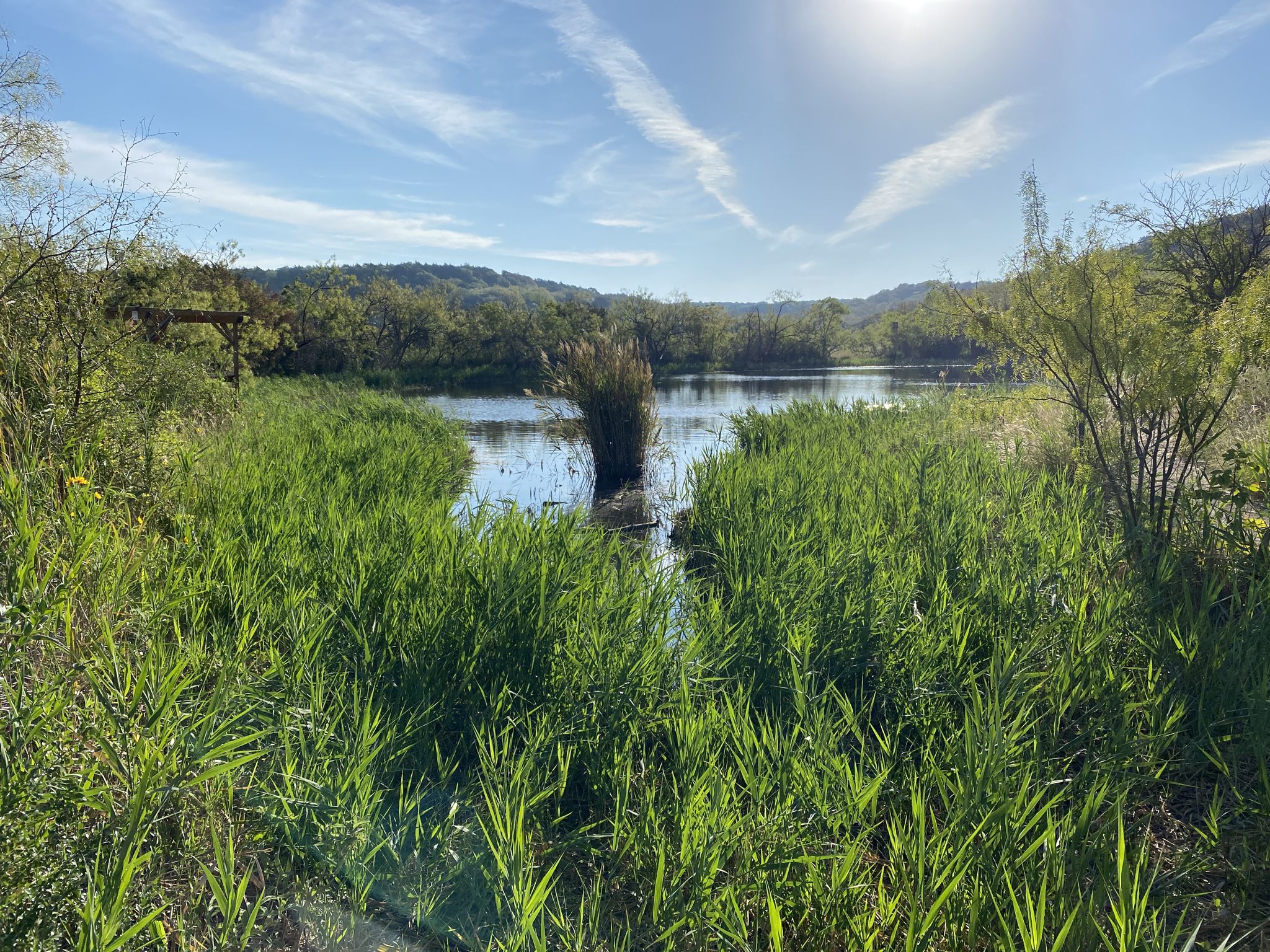 Sunny view of a lake surrounded by tall green grass and distant hills. - Cedar Ridge Preserve loop run