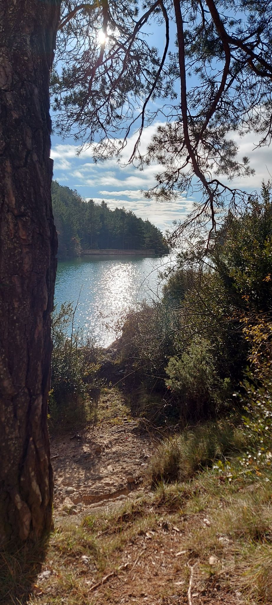 Panta d'espunyola