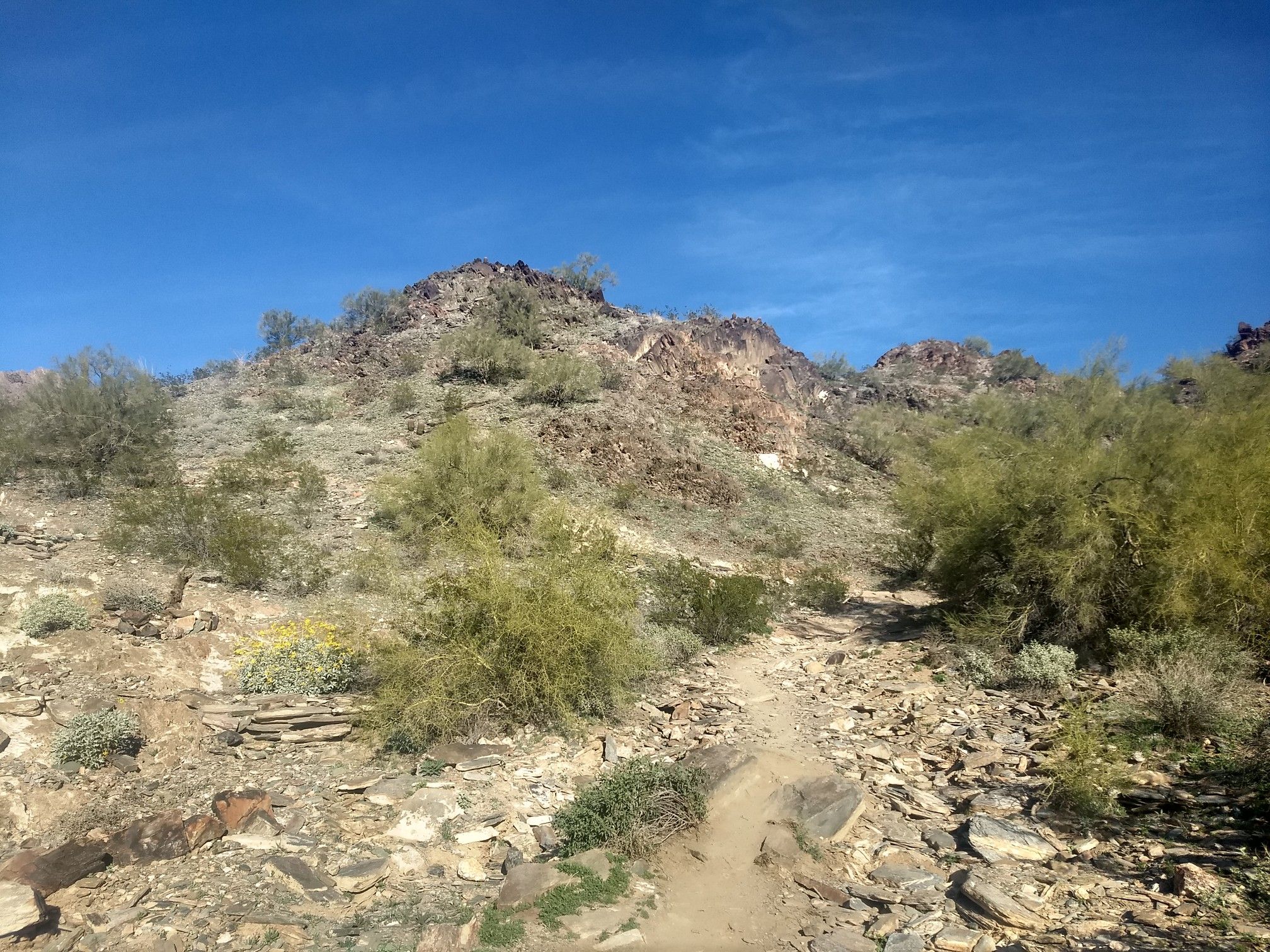 Rocky desert path winding through sparse green brush towards a distant mountain. - Charles M. Christiansen Trail 100