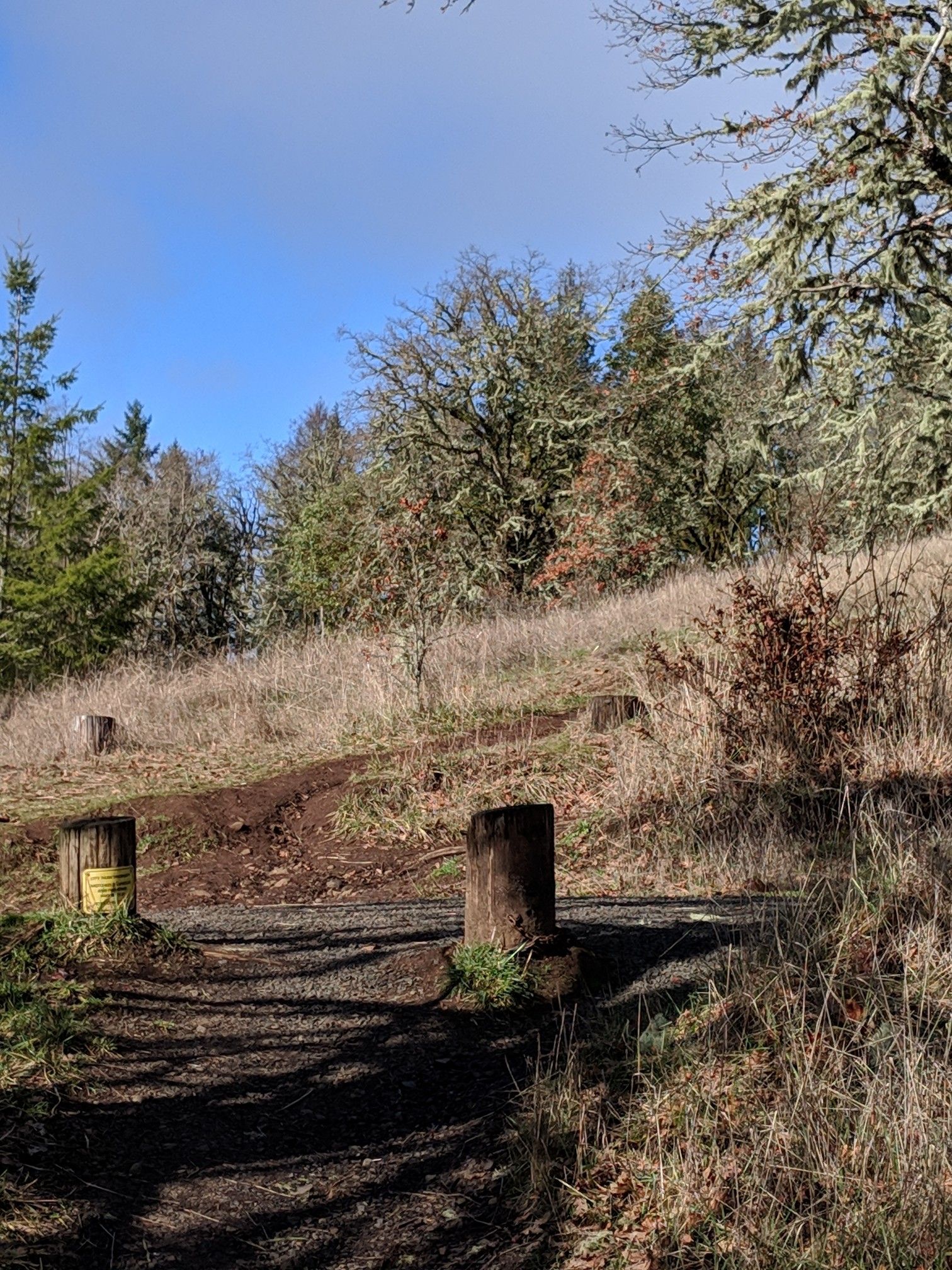 Sunny dirt path leading up a grassy hill with scattered trees. - Chip Ross viewpoint loop from Timberhill Natural Area