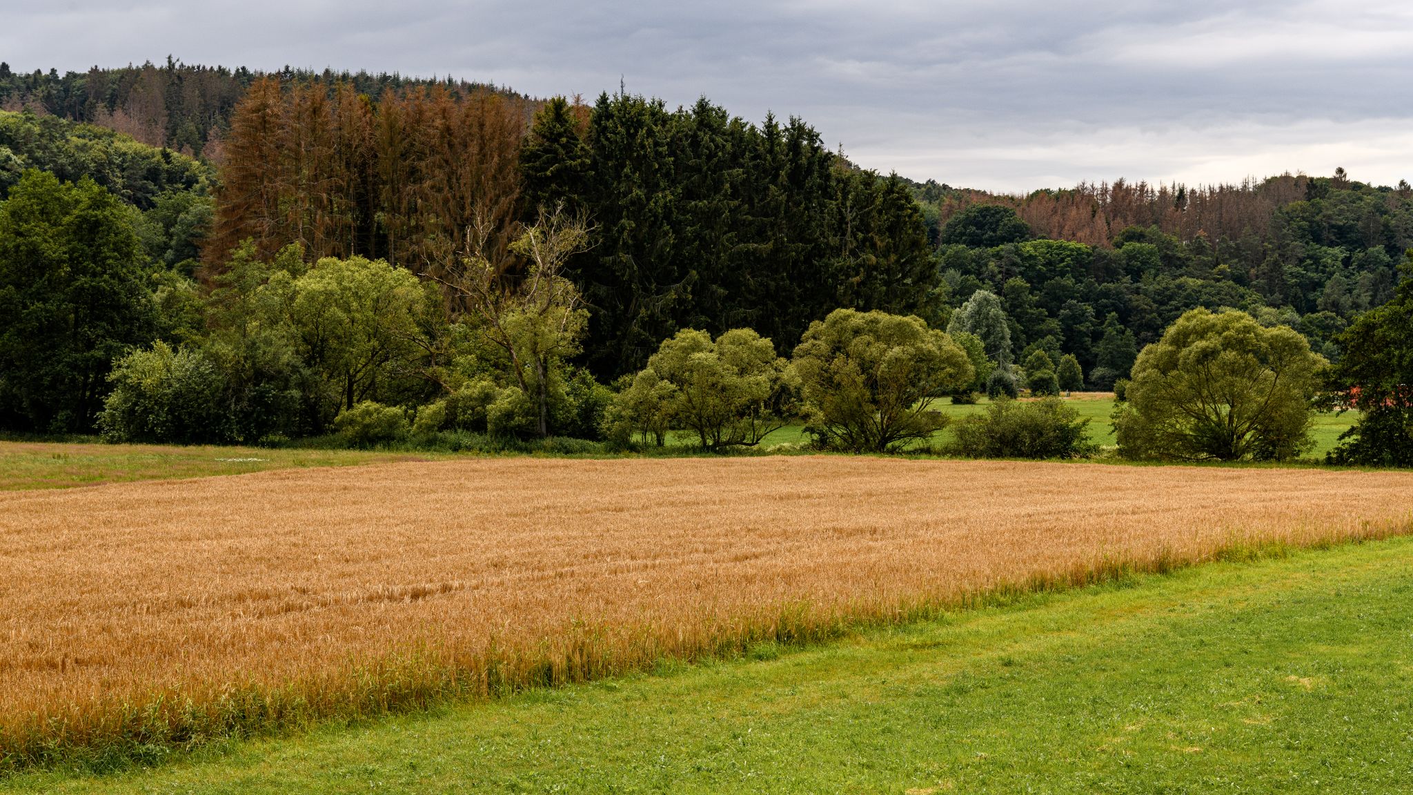 Landschaft bei Oberlahr