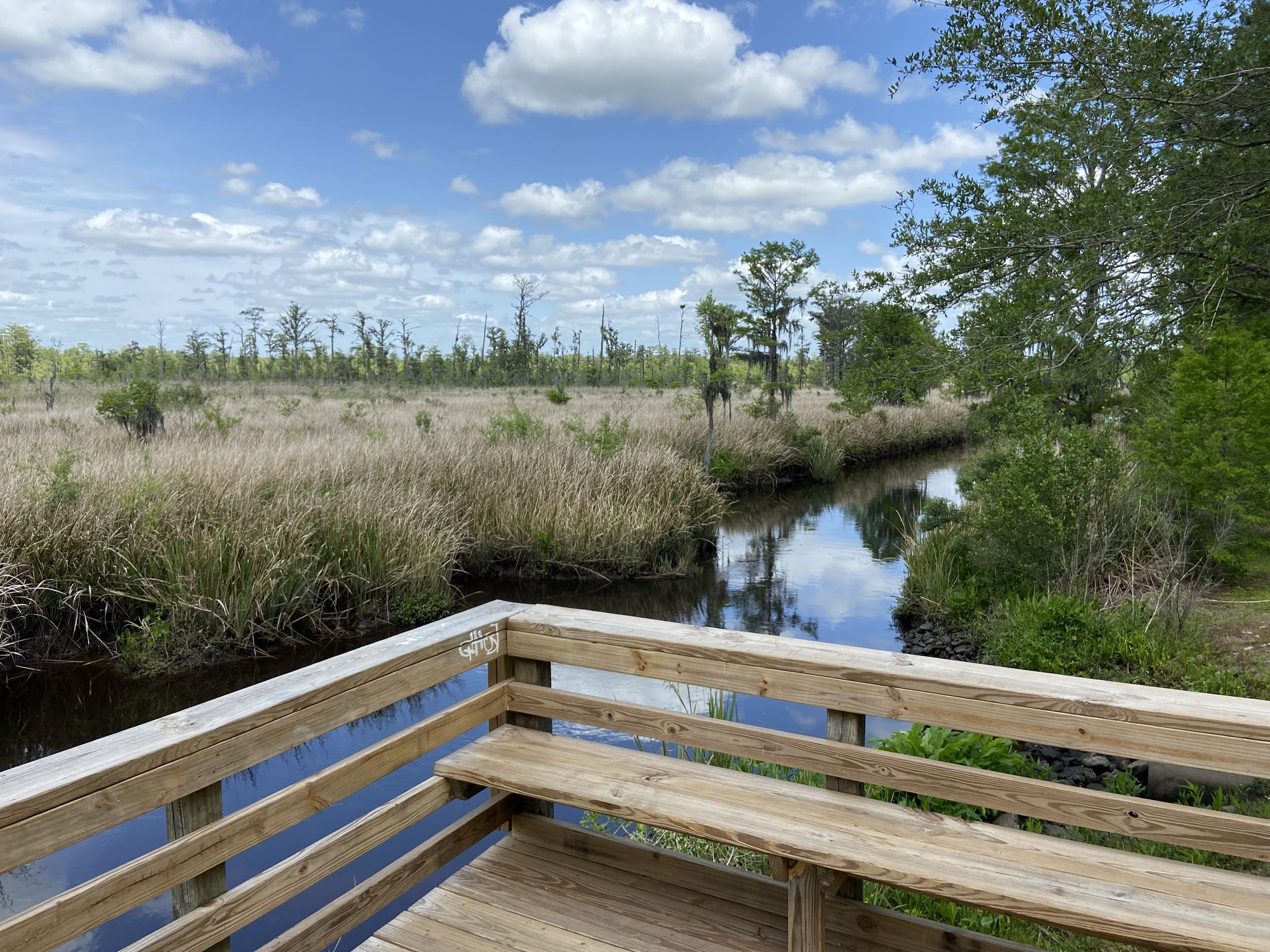 Wooden boardwalk with bench overlooks a sunny marshland river under a blue sky. - Running loop from Richmond Hill