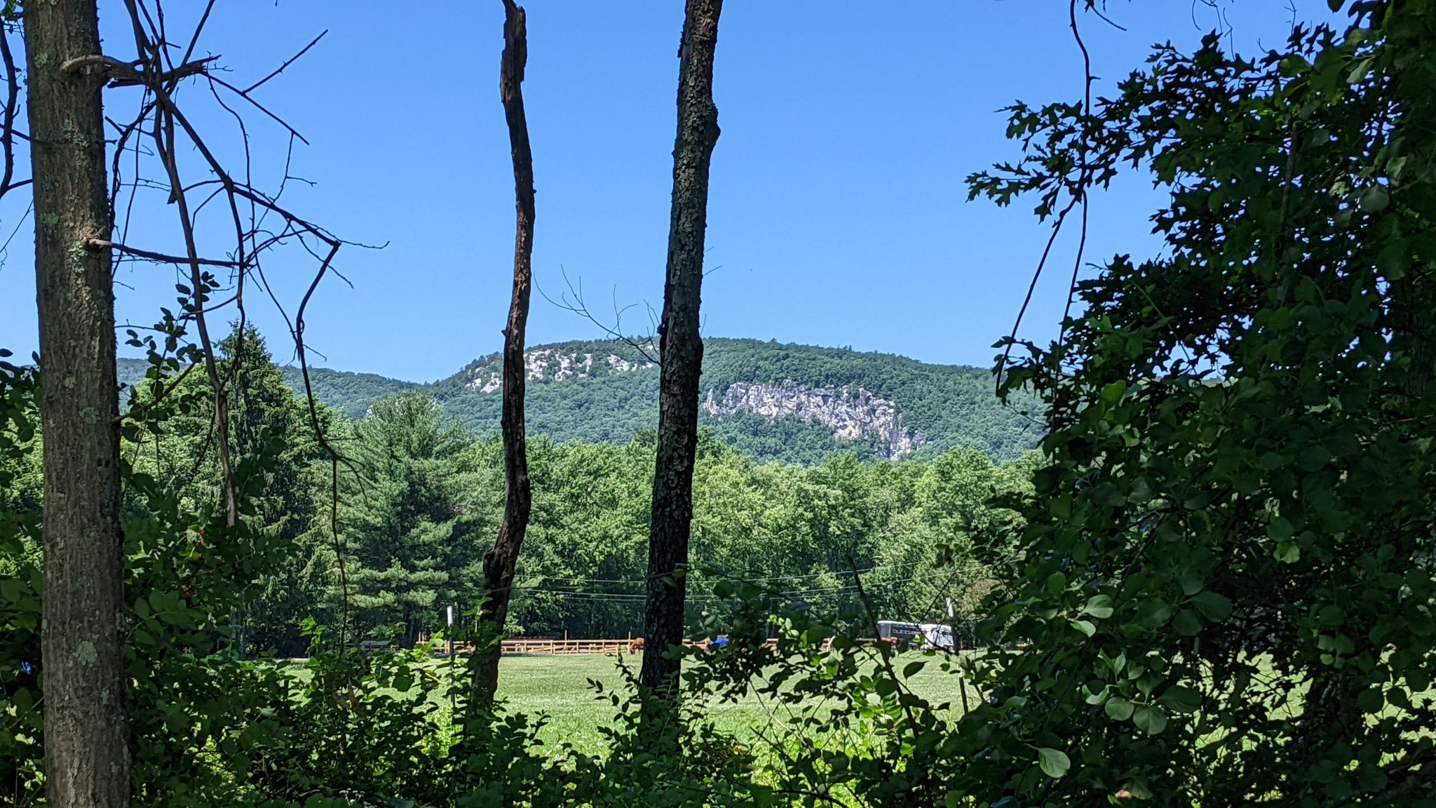 Distant rocky mountain face visible through green trees under a clear blue sky. - Wallkill Valley Rail Trail Loop