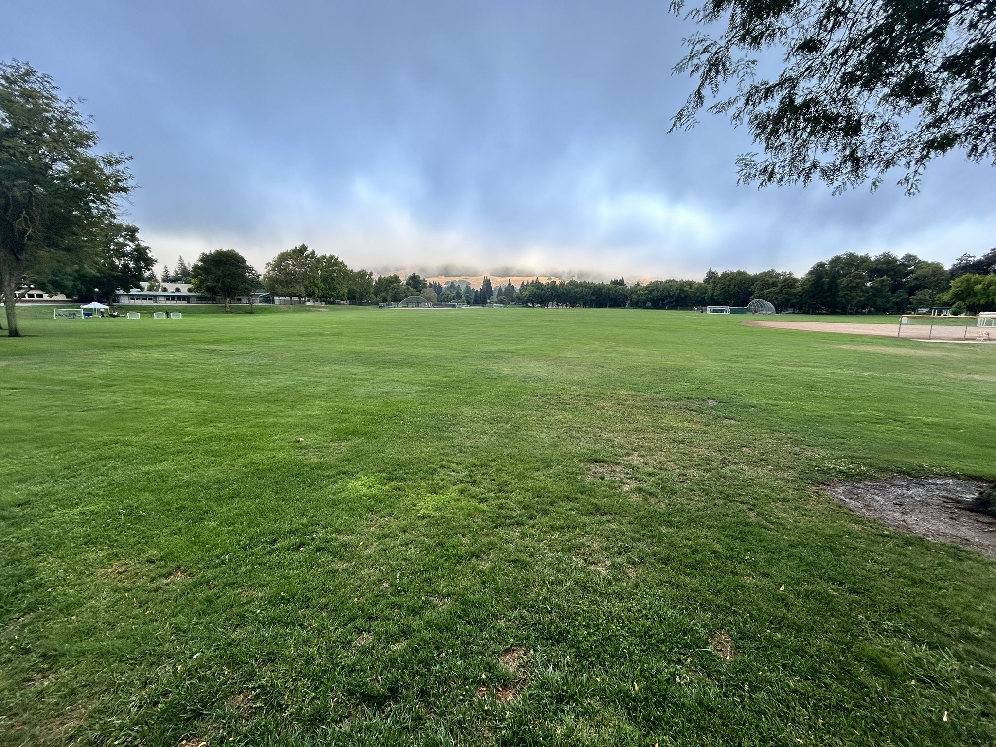 Expansive green field under a cloudy sky, with distant trees and buildings. - Iron Horse Trail – Museum of the San Ramon Valley loop from Walnut Creek