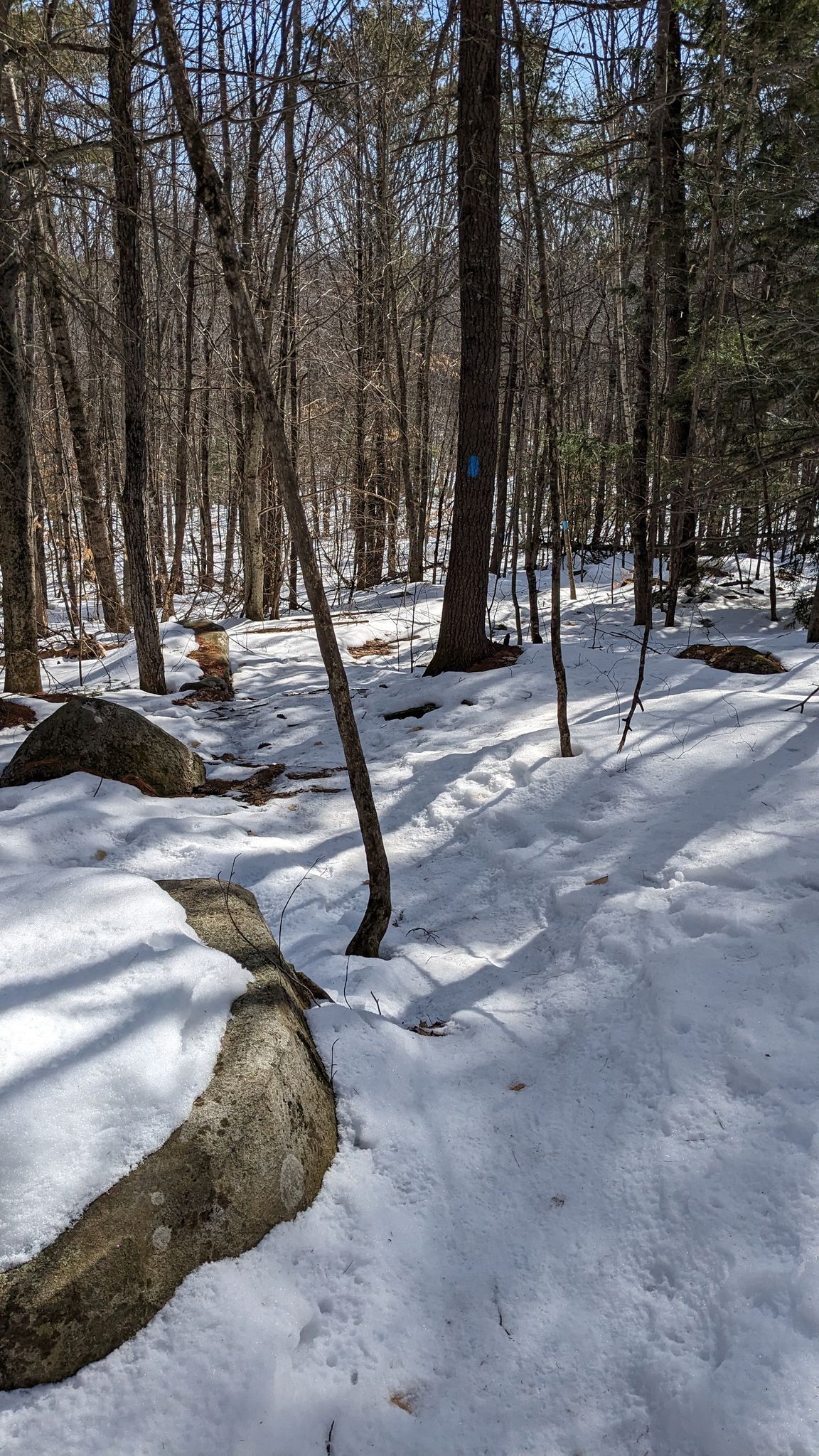 Snowy forest path with bare trees, large rocks, and a blue trail marker. - Round Top Trail