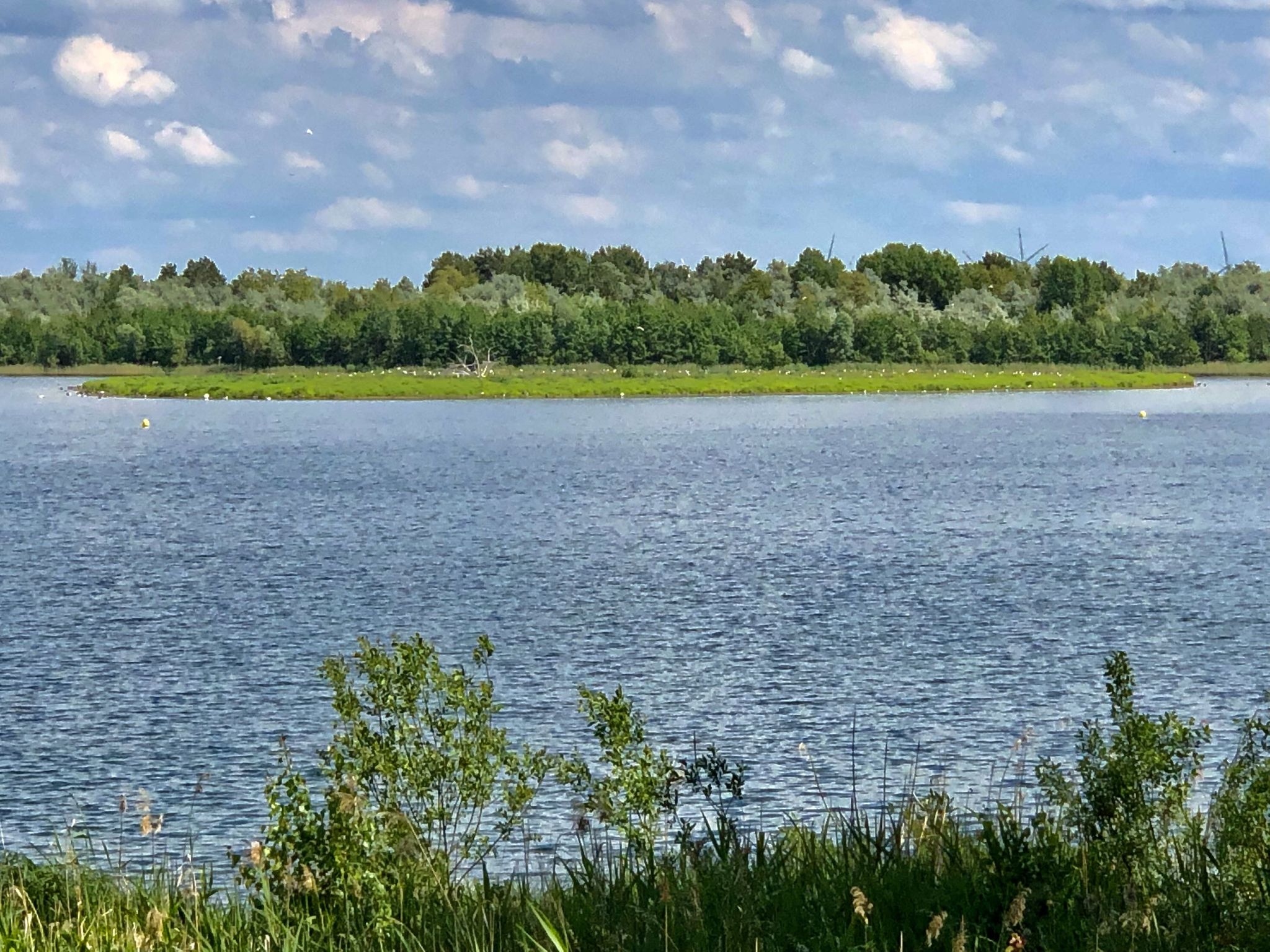 Vogelinsel im Stoßdorfer See