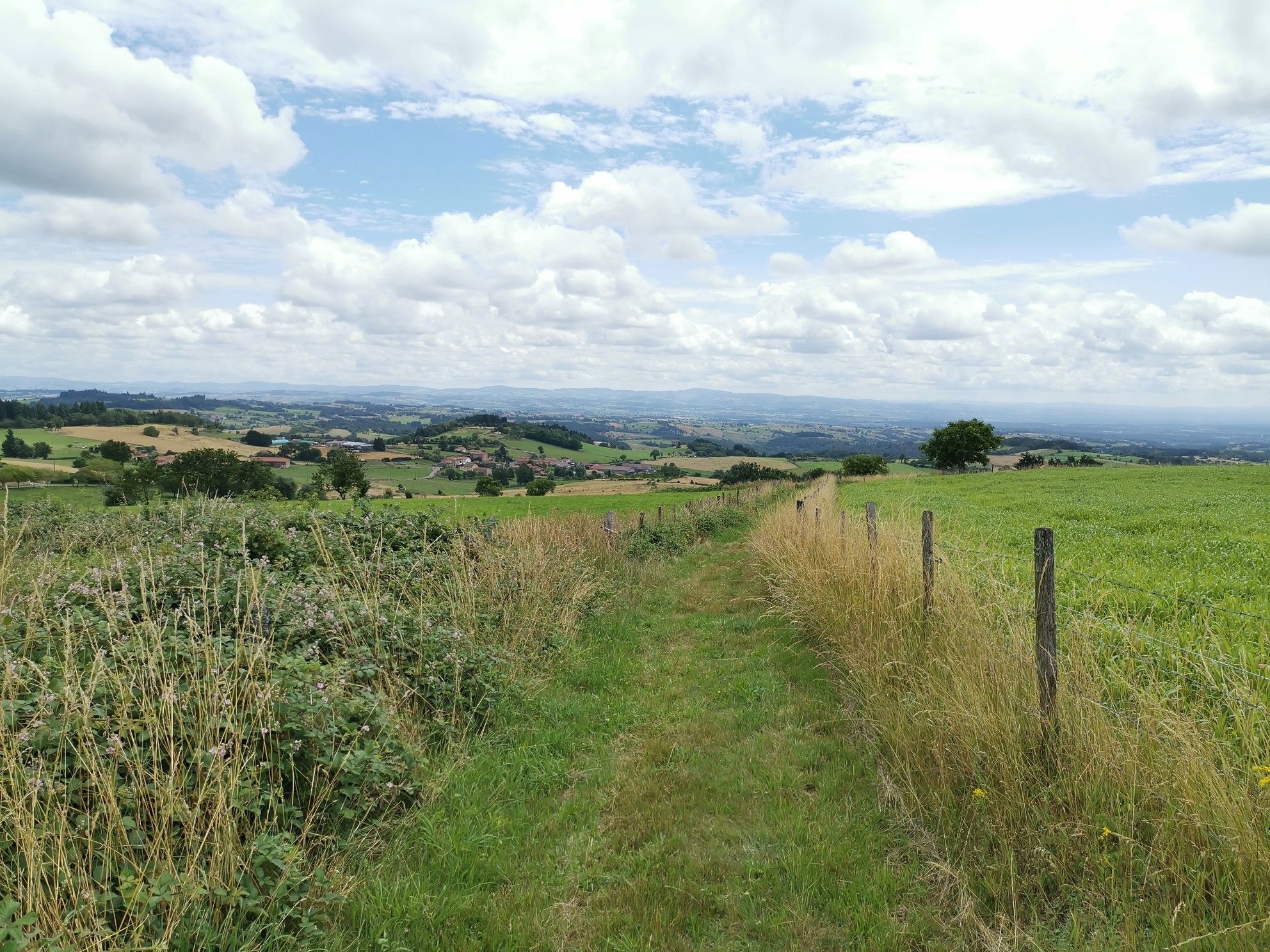 Joli chemin à Lucé, vue magnifique 