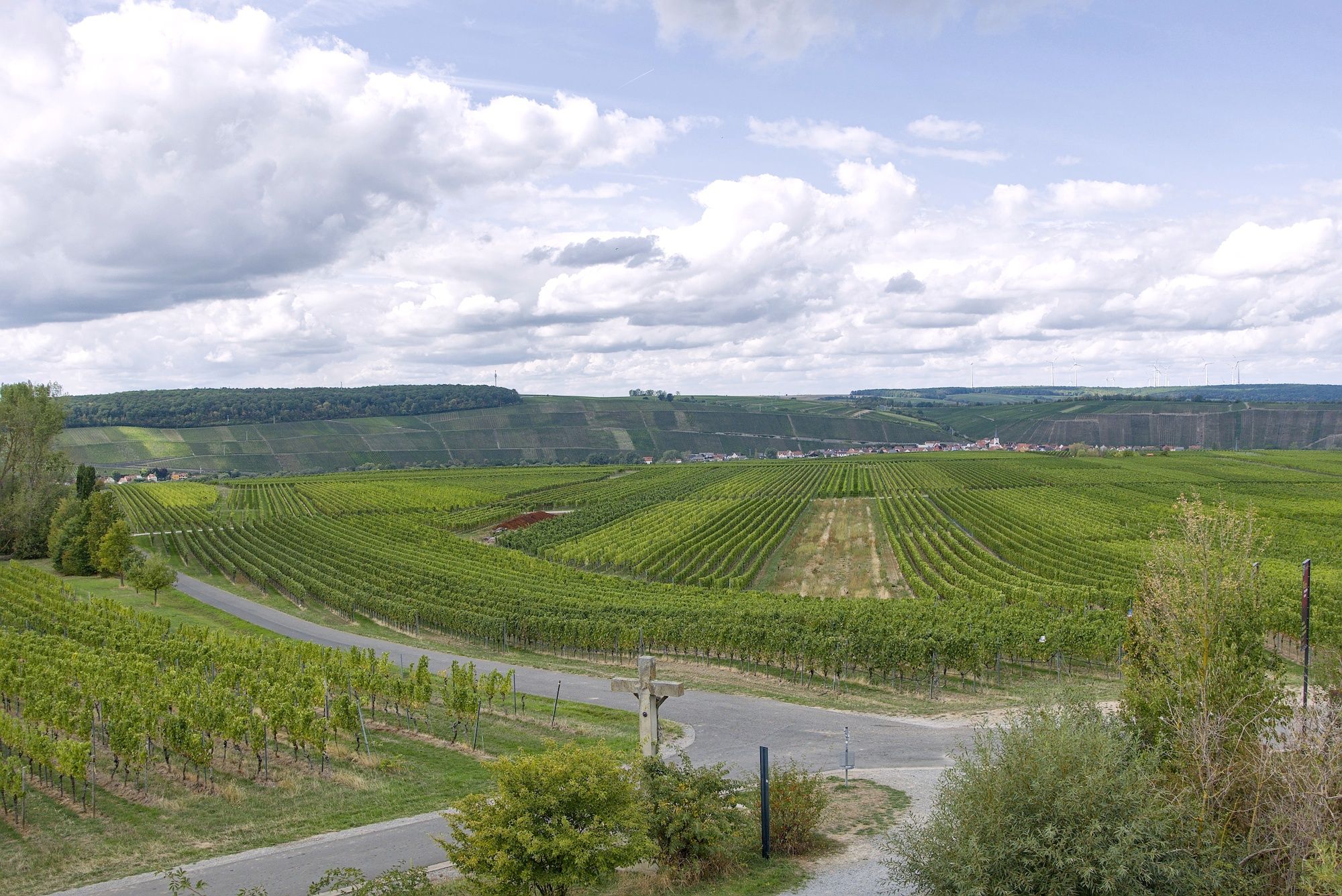Blick über das weitflächige Weinbaugebiet nach Nordheim am Main