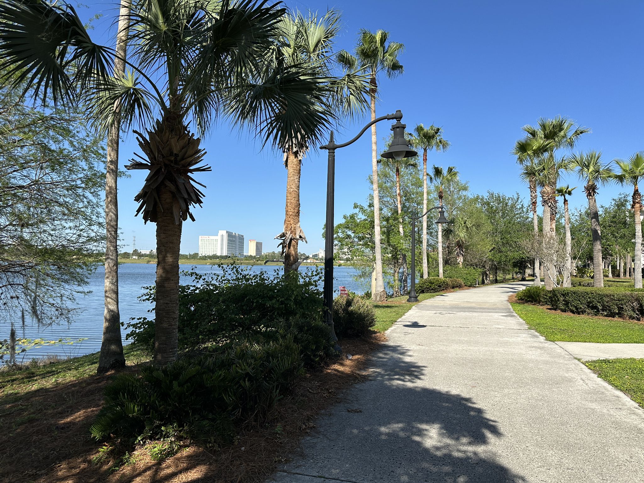 A sunny paved path winds past palm trees and a calm lake. - Lake Cay Trail