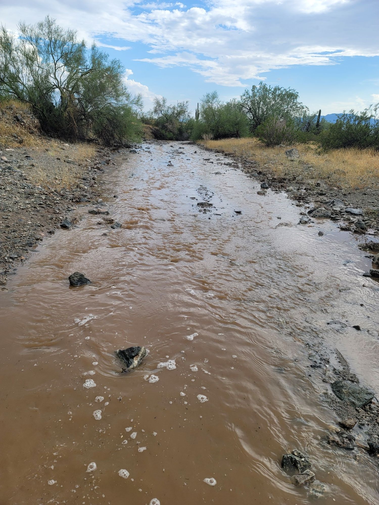 Wide muddy stream flowing through a desert wash under a cloudy sky. - Pyramid Trail