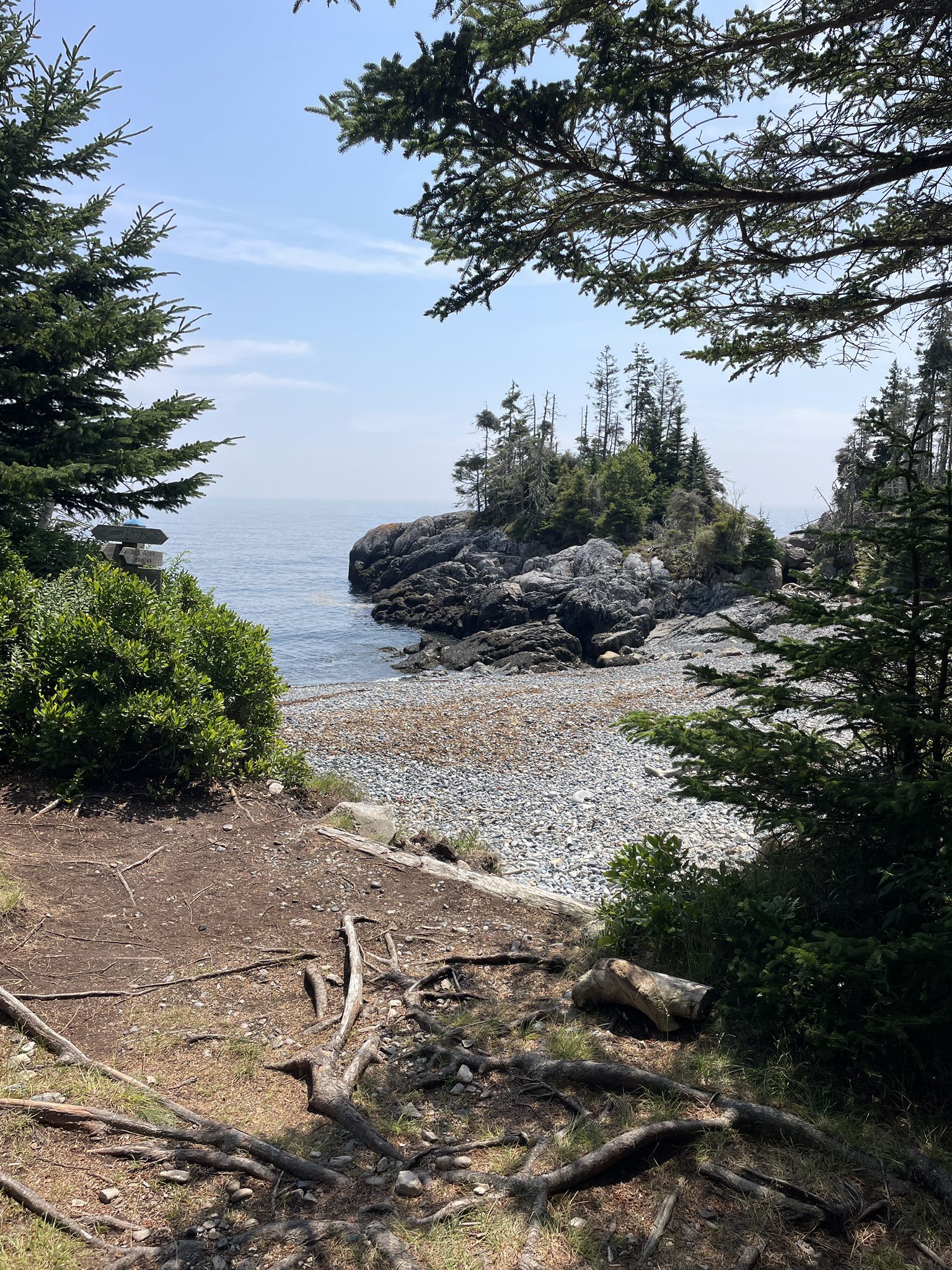 Rocky beach framed by trees, leading to a small, forested island. - Duck Harbor Ferry loop from Duck Harbor
